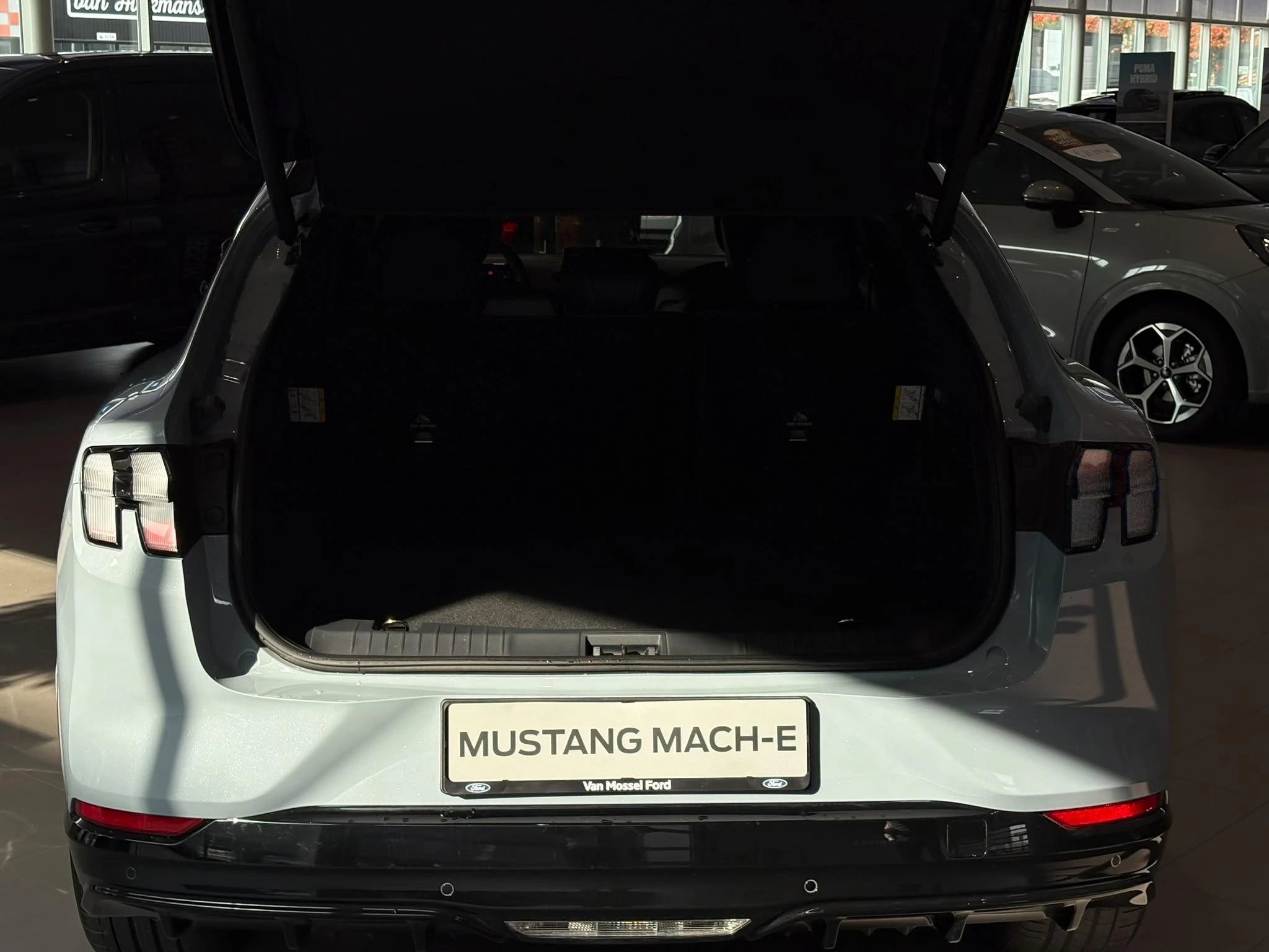 Ford-Mustang Mach-E-image-6