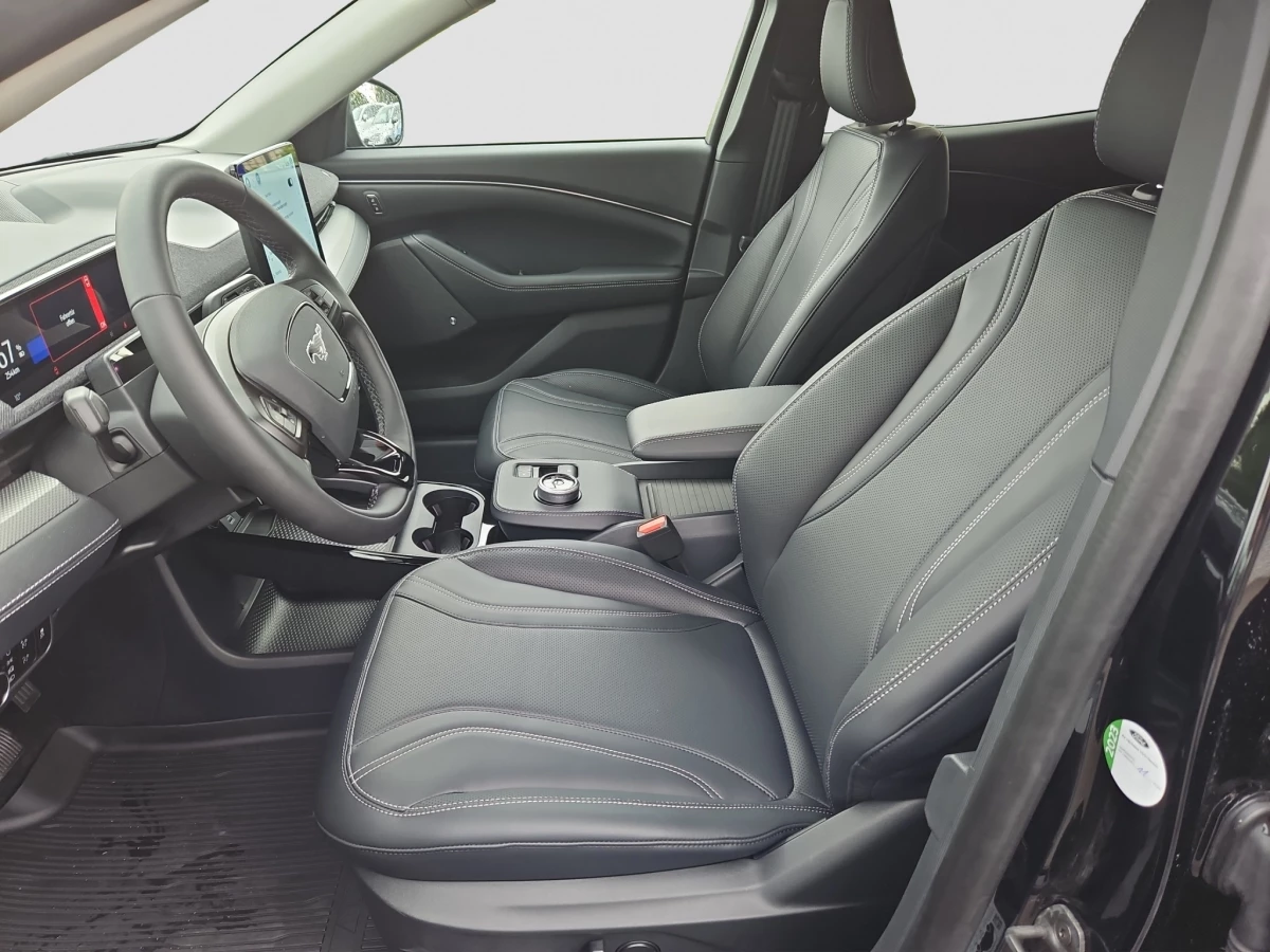 Ford-Mustang Mach-E-image-7