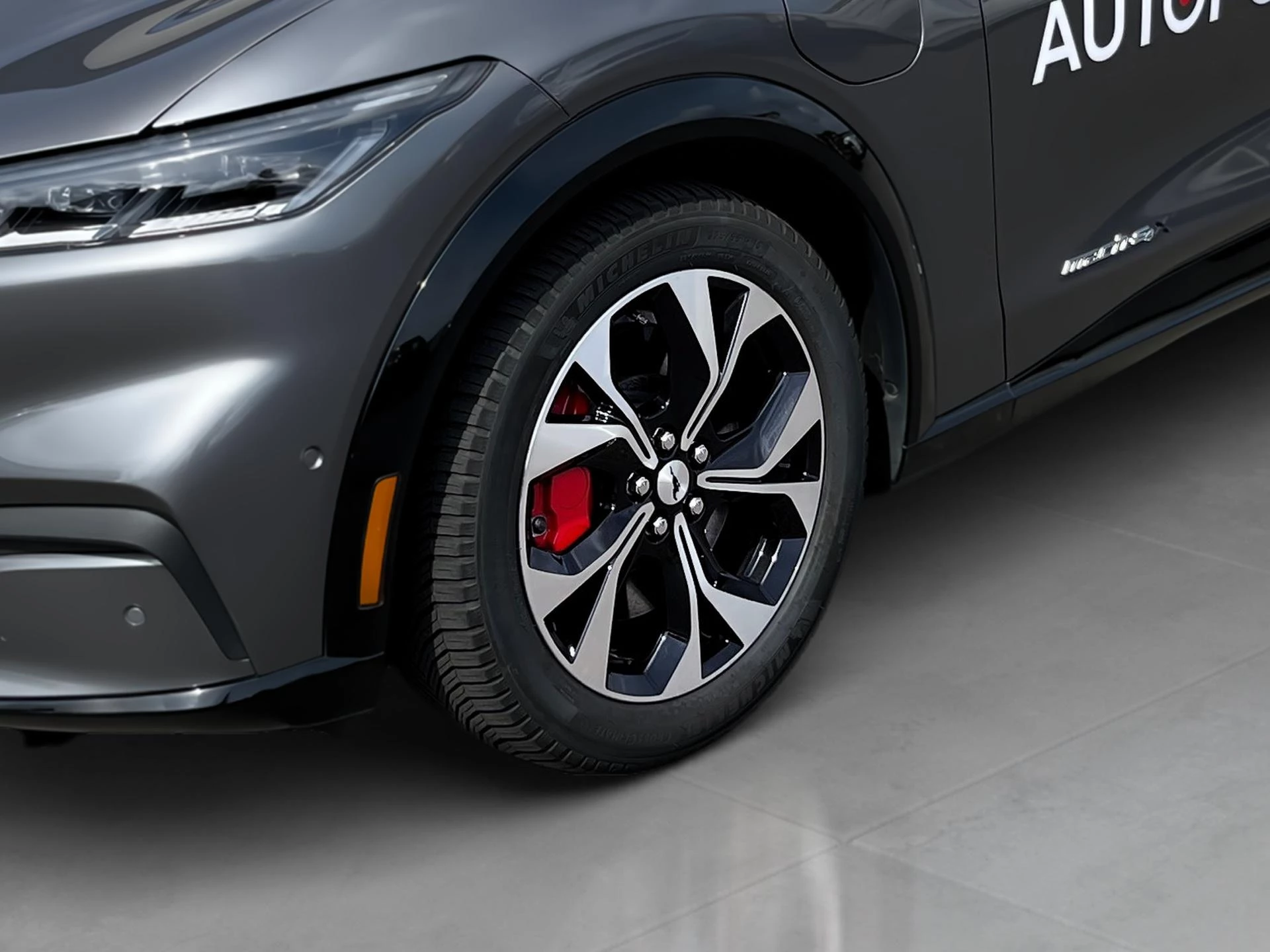 Ford-Mustang Mach-E-image-17