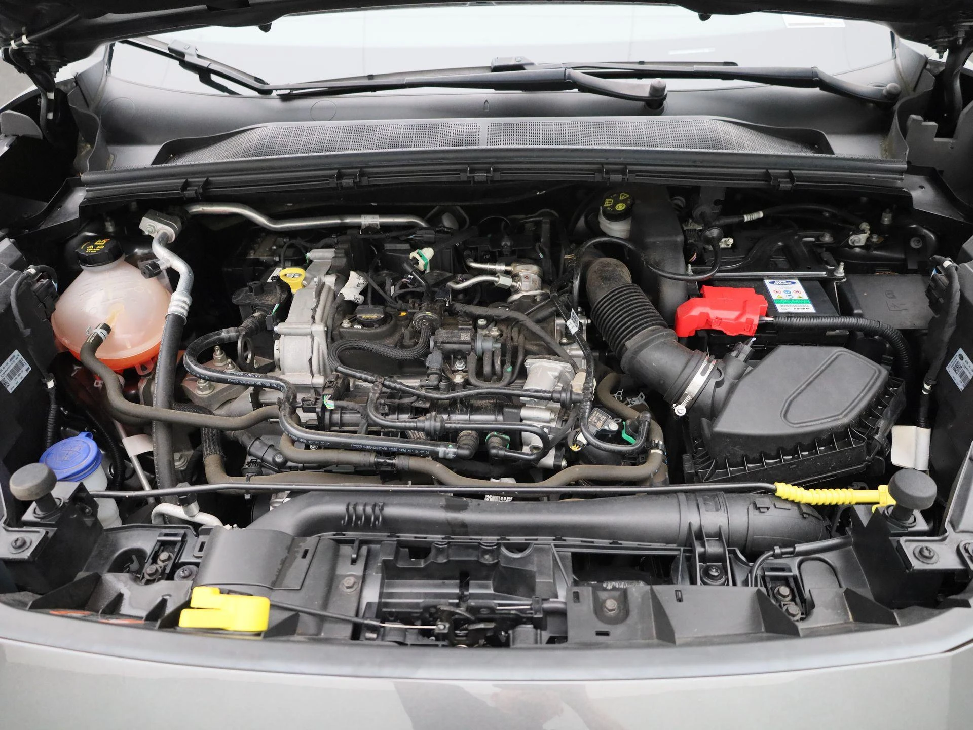 Ford-Puma-image-28