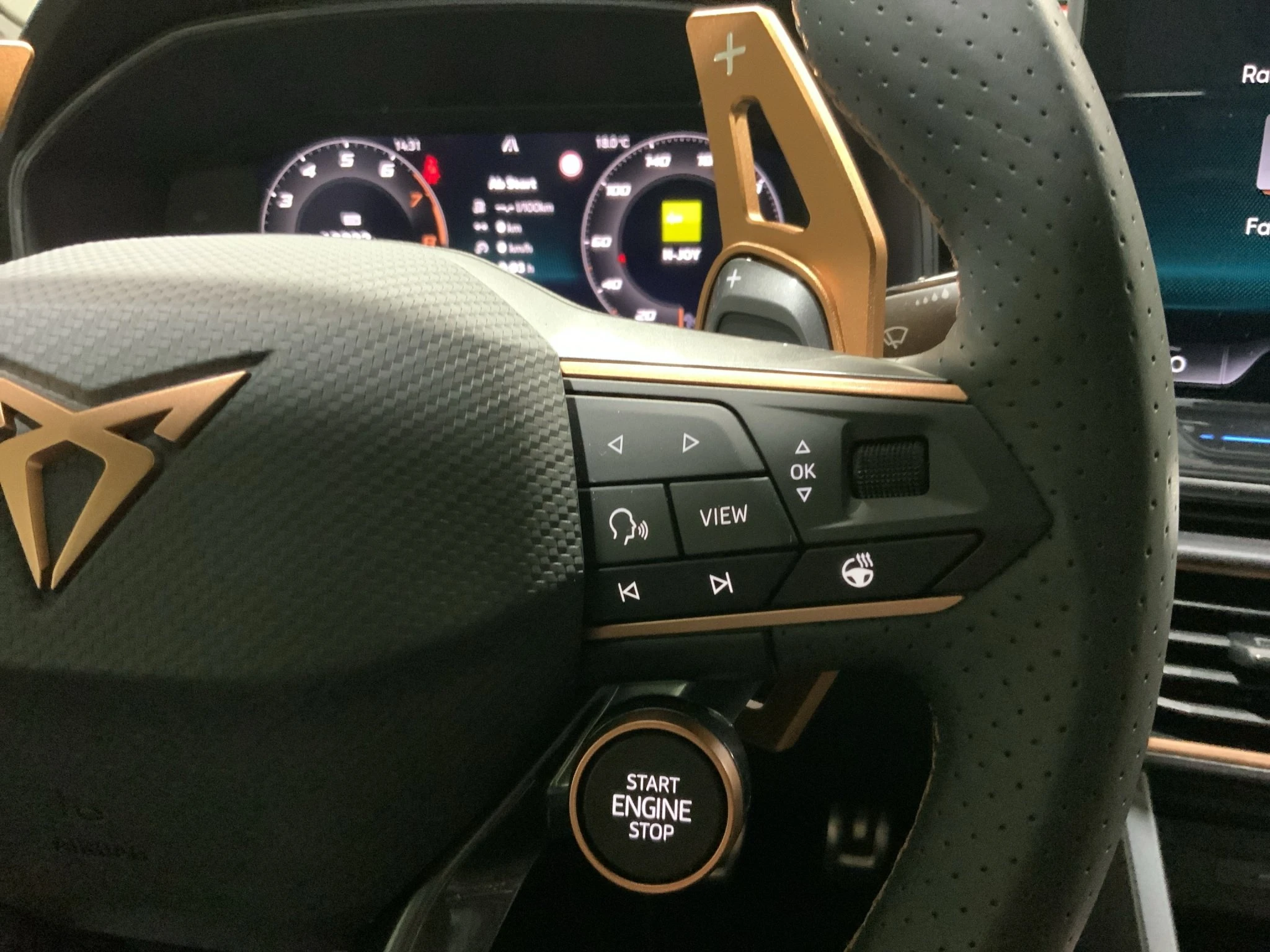 CUPRA Leon 1.5 eTSI | Sennheiser | DCC | Memory
