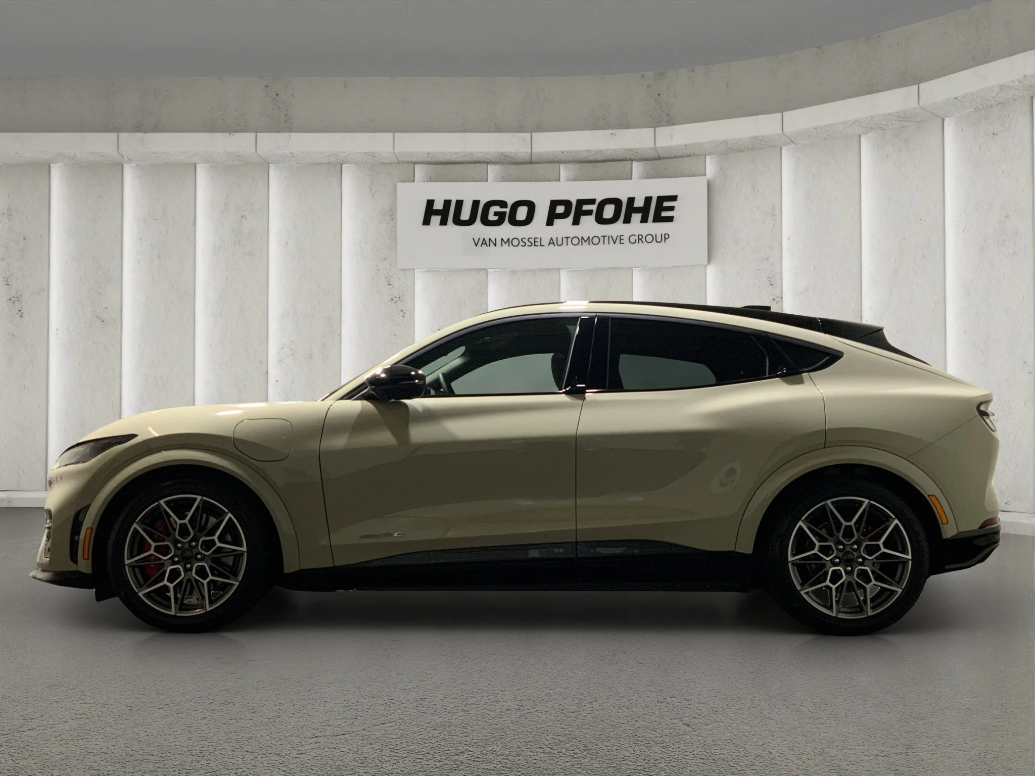 Ford-Mustang Mach-E-image-1