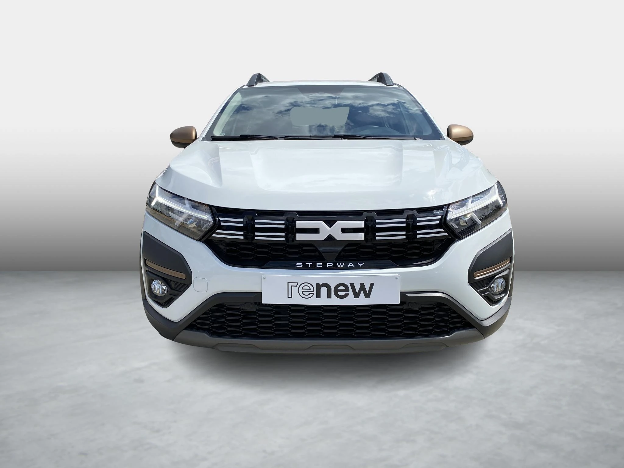 Dacia-Sandero Stepway-image-1