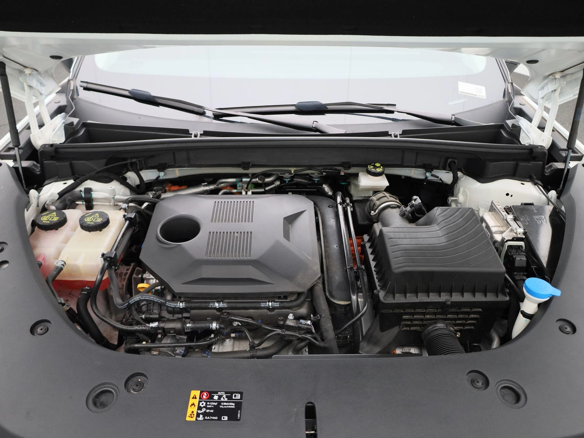 MG-HS-image-36