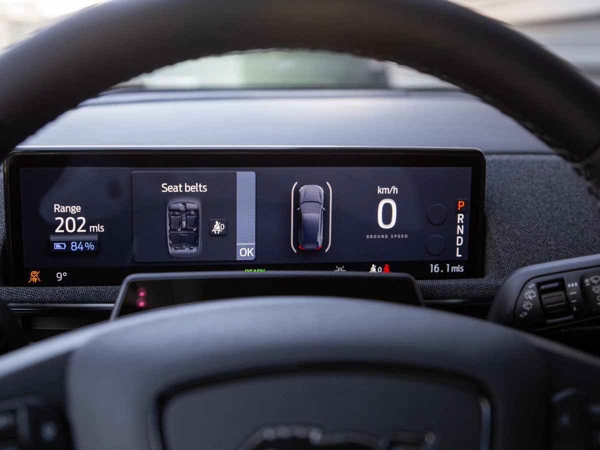 Ford-Mustang Mach-E-image-9