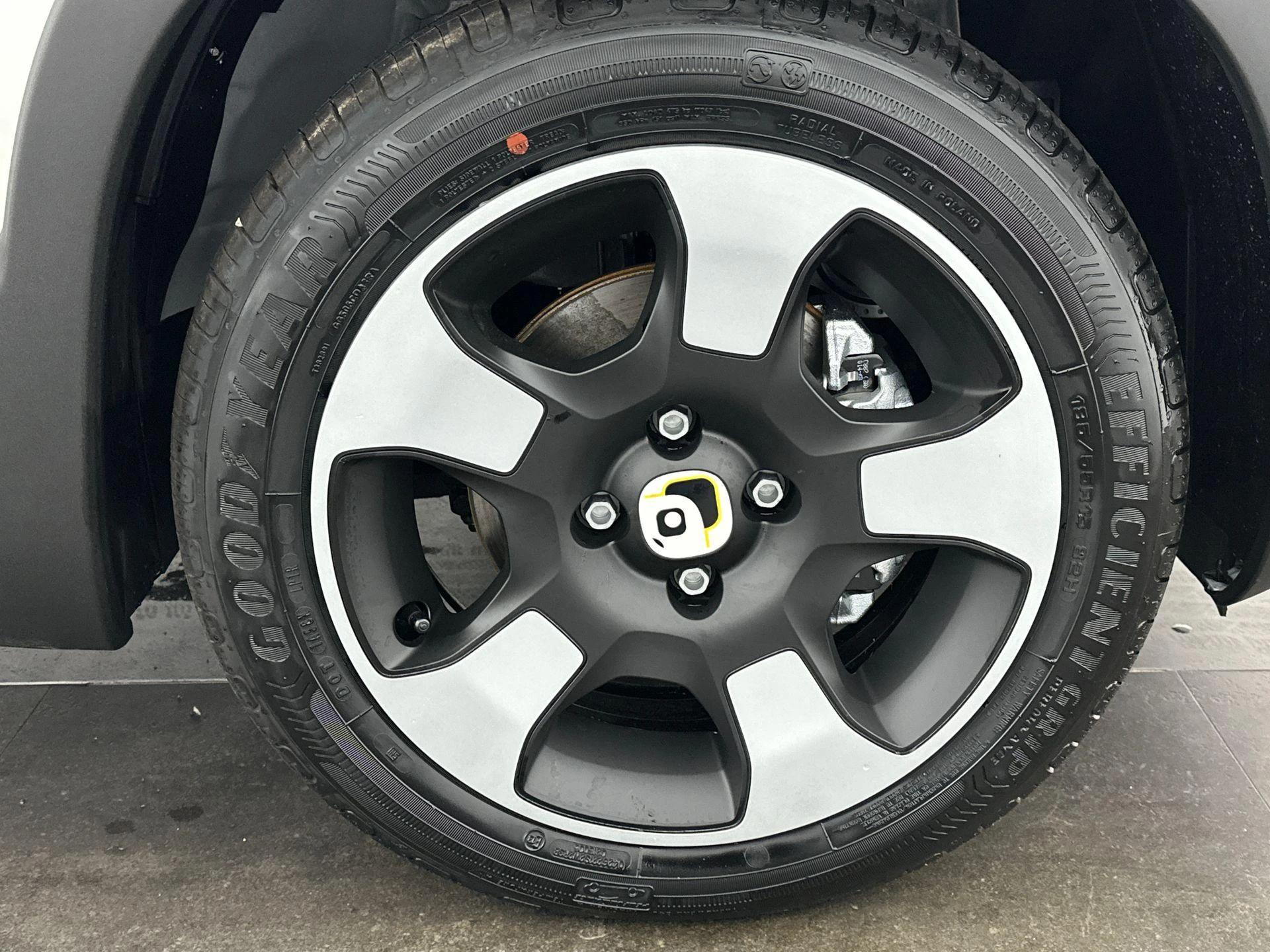 Fiat-Panda-image-21