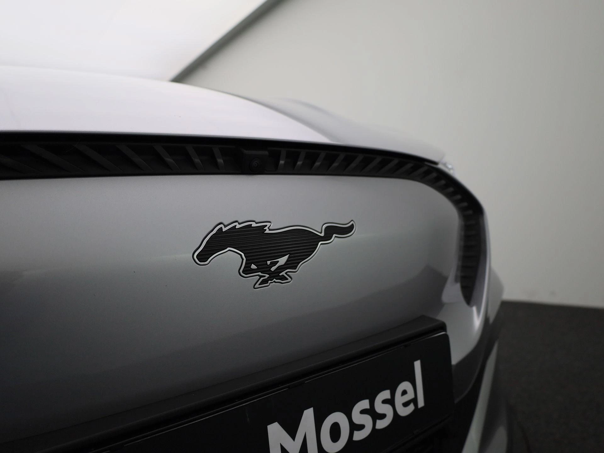 Ford Mustang Mach-E RWD 75 kWh