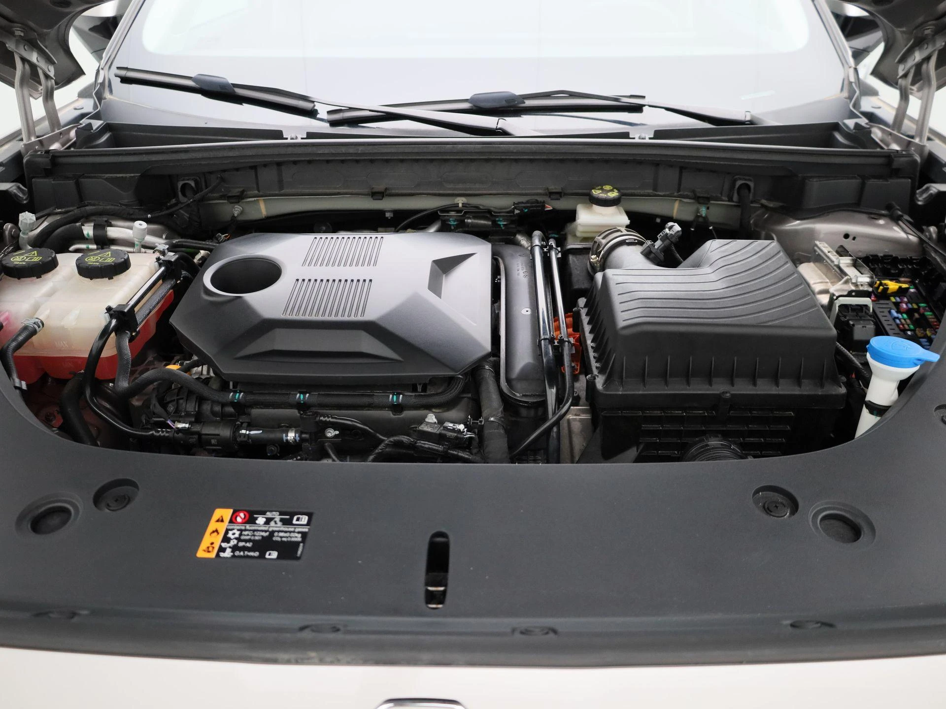 MG-HS-image-32