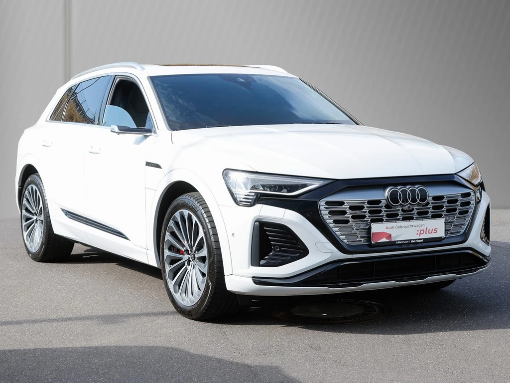 Audi-Q8 e-tron-image-3