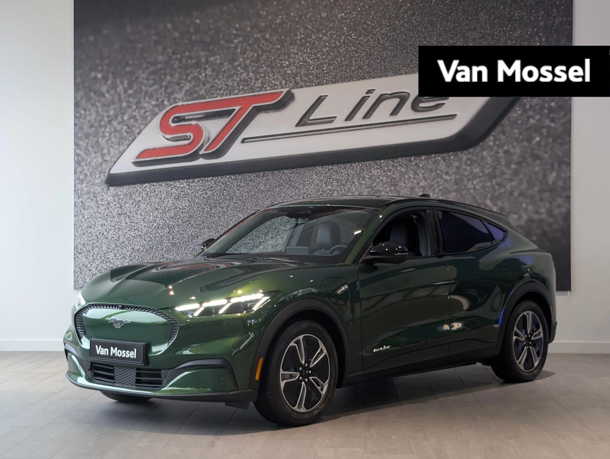 Ford-Mustang Mach-E-image-0