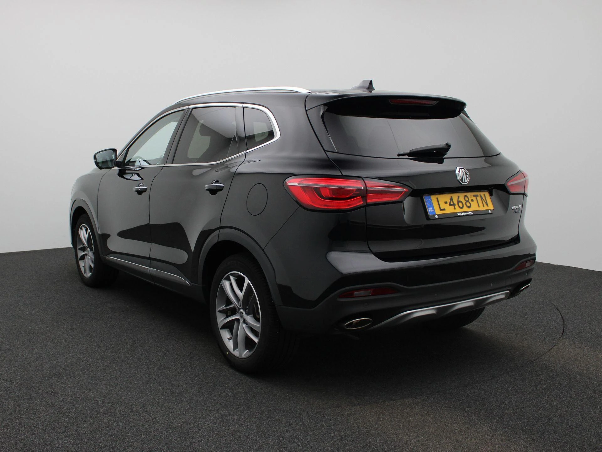 MG-EHS-image-1