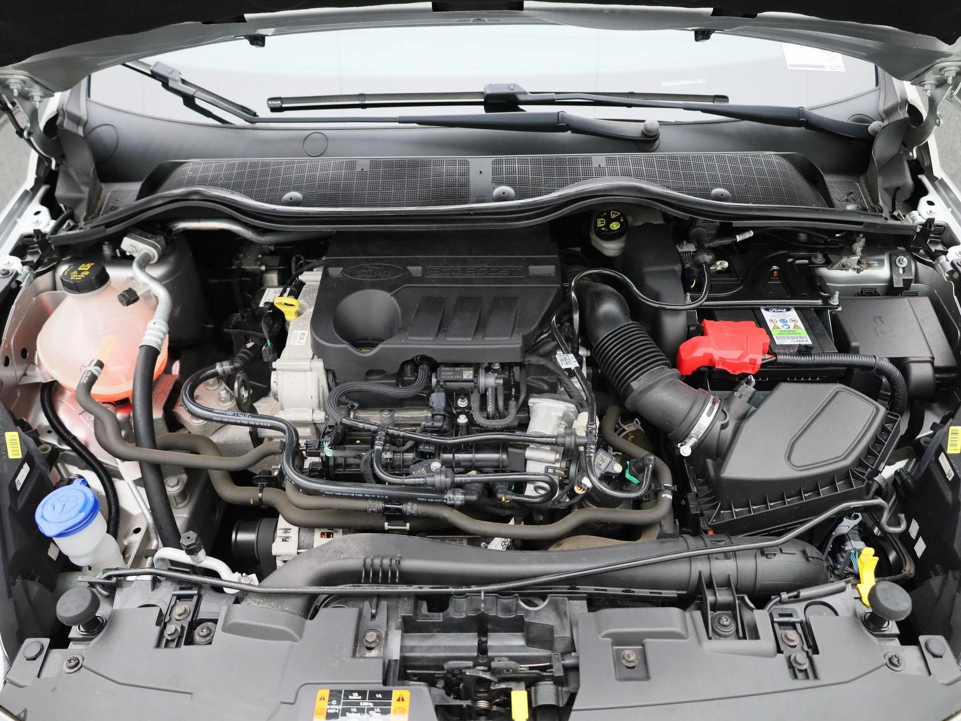 Ford-Fiesta-image-31