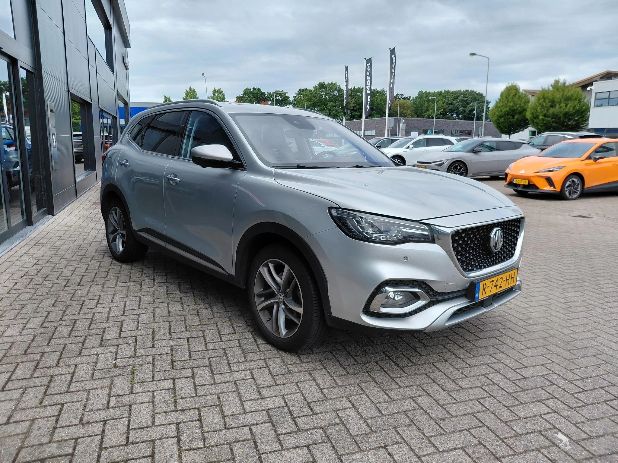 MG-EHS-image-6