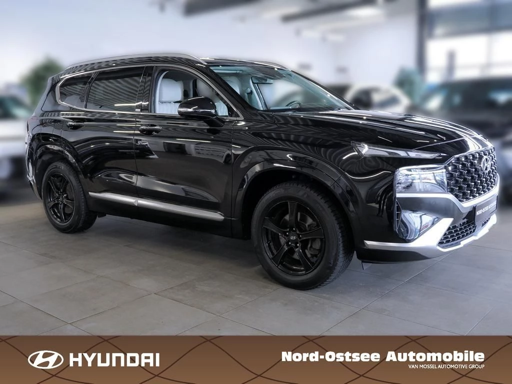 Hyundai-Santa Fe-image-2