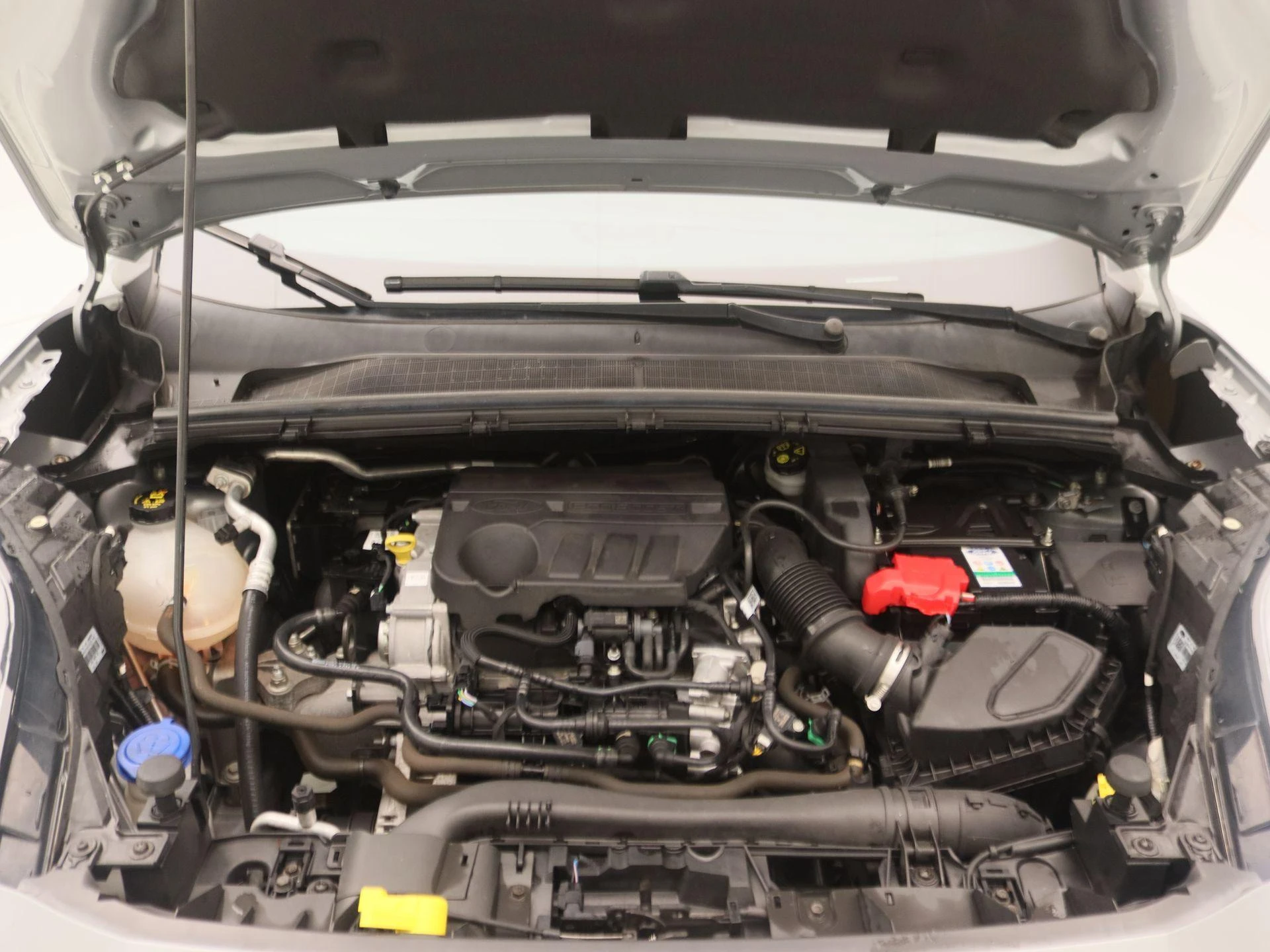 Ford-Puma-image-26
