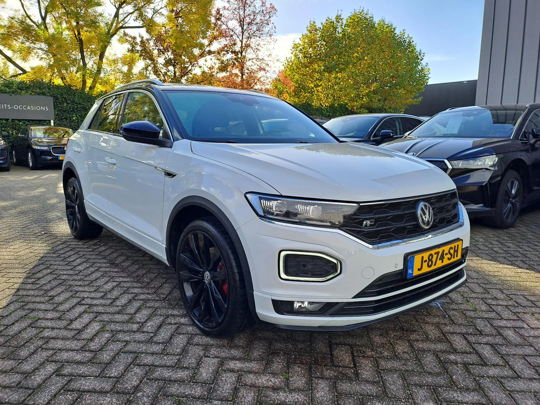 Volkswagen-T-Roc-image-3