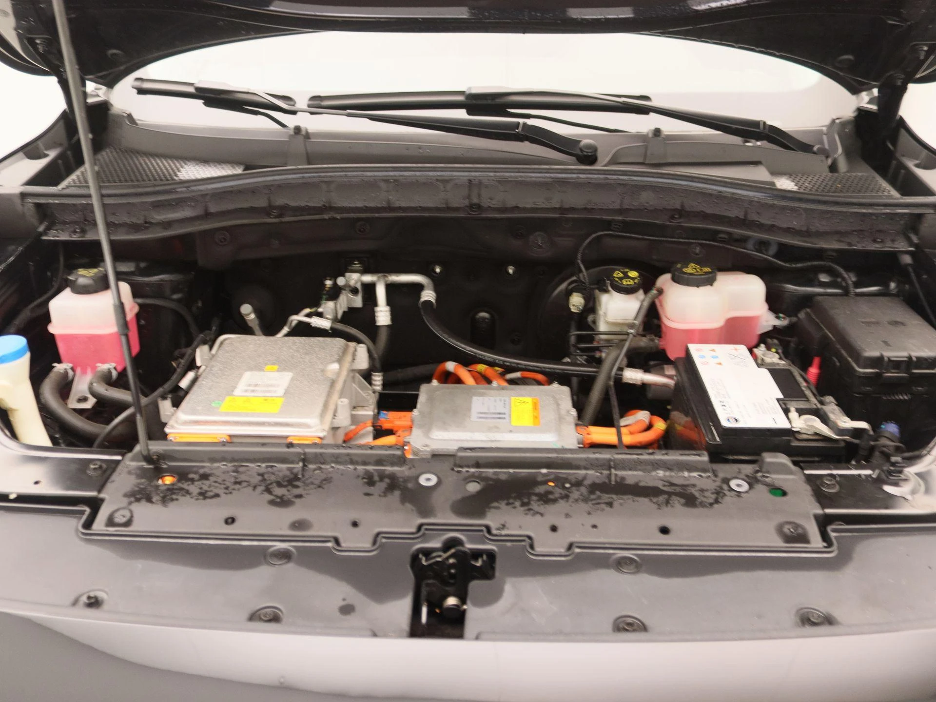 MG-ZS EV-image-25