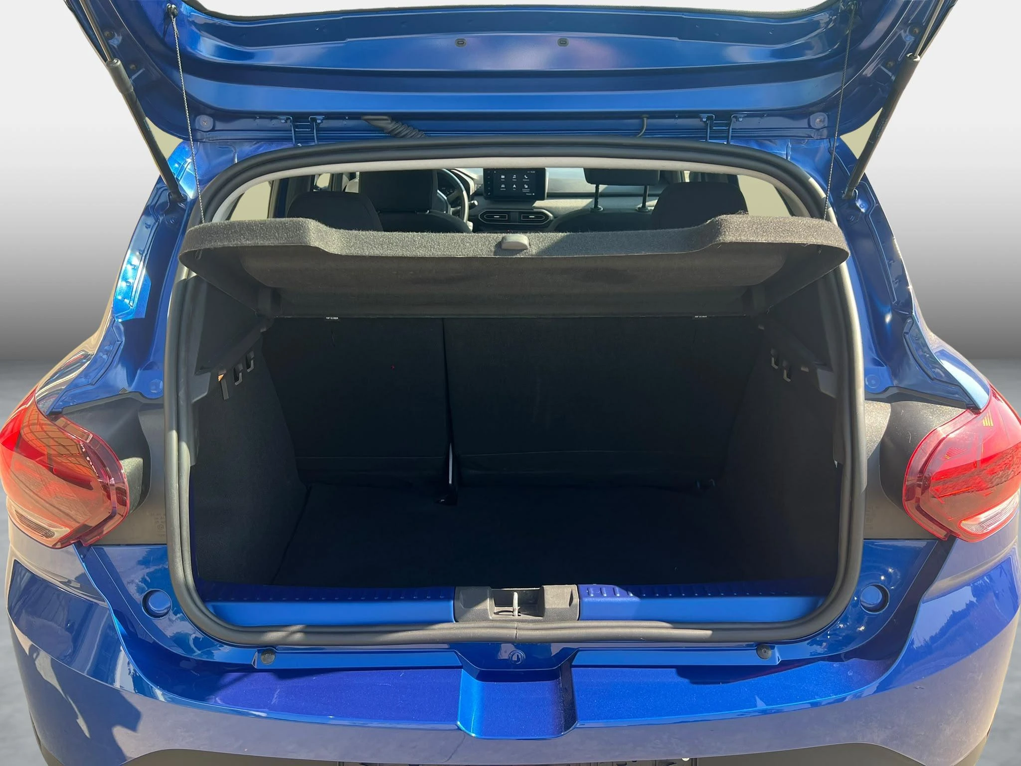 Dacia-Sandero Stepway-image-7