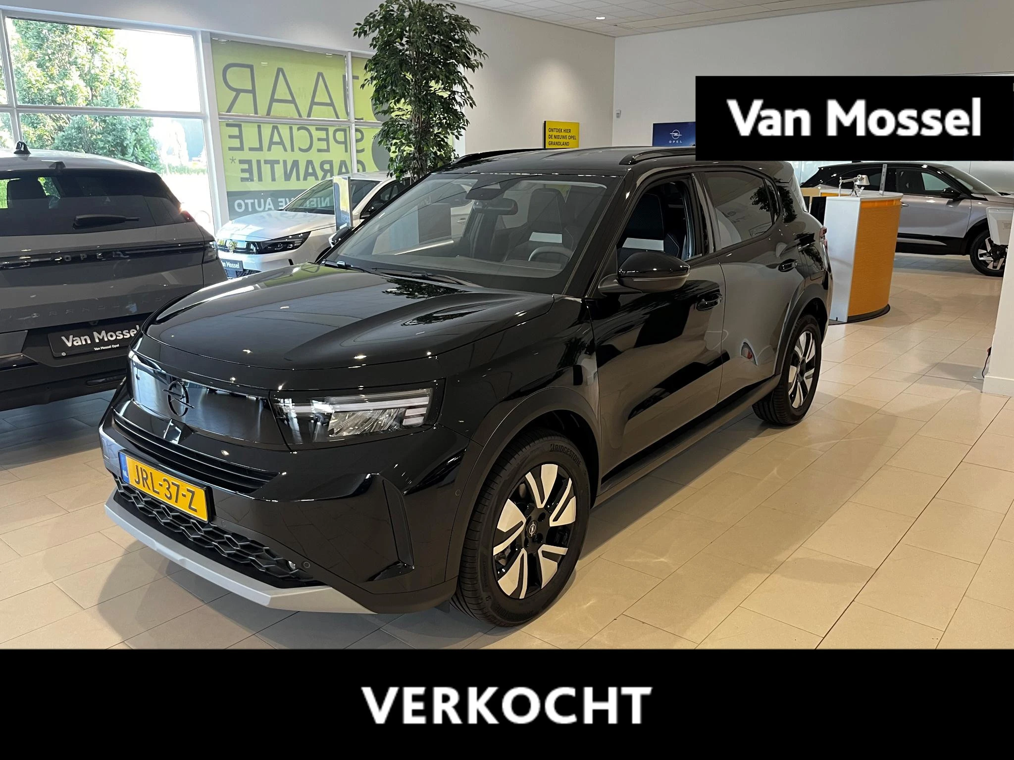 Opel-Frontera-image-0