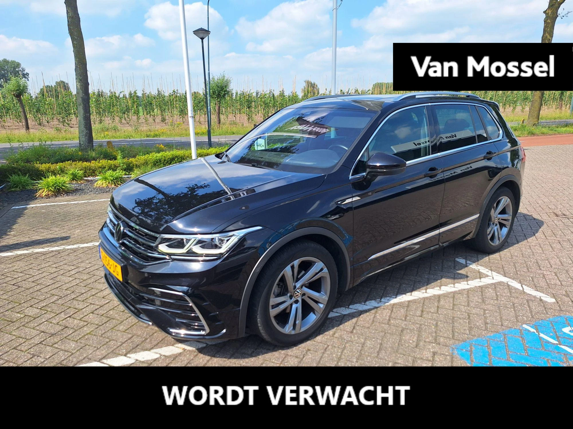 Volkswagen-Tiguan-image-0