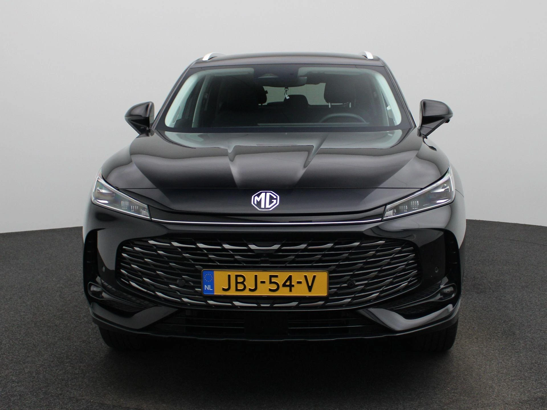 MG-HS-image-2