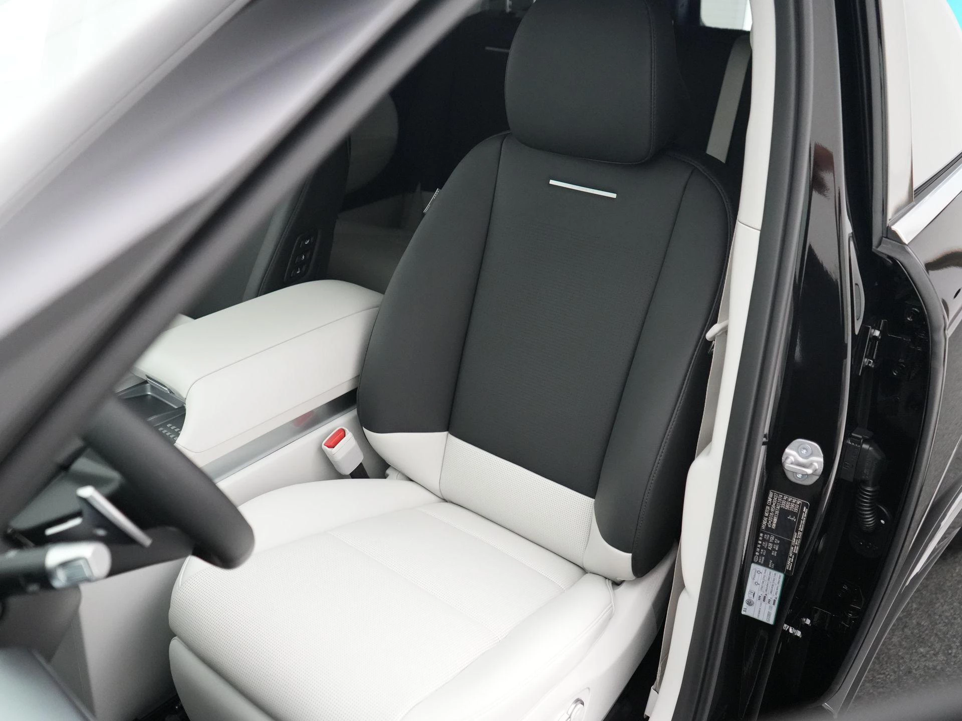 Hyundai-IONIQ 9-image-6