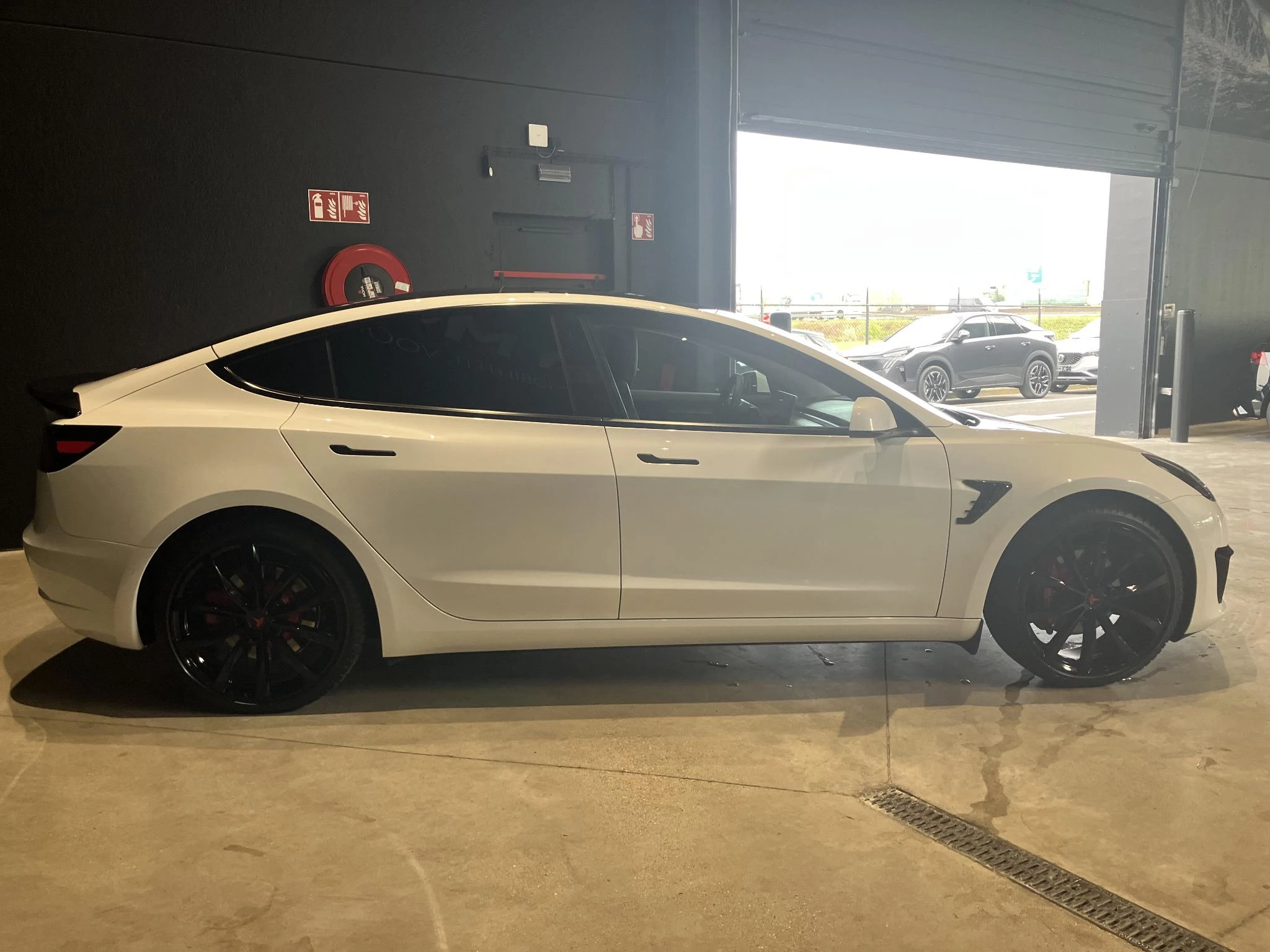 Tesla Model 3 Standard RWD Plus