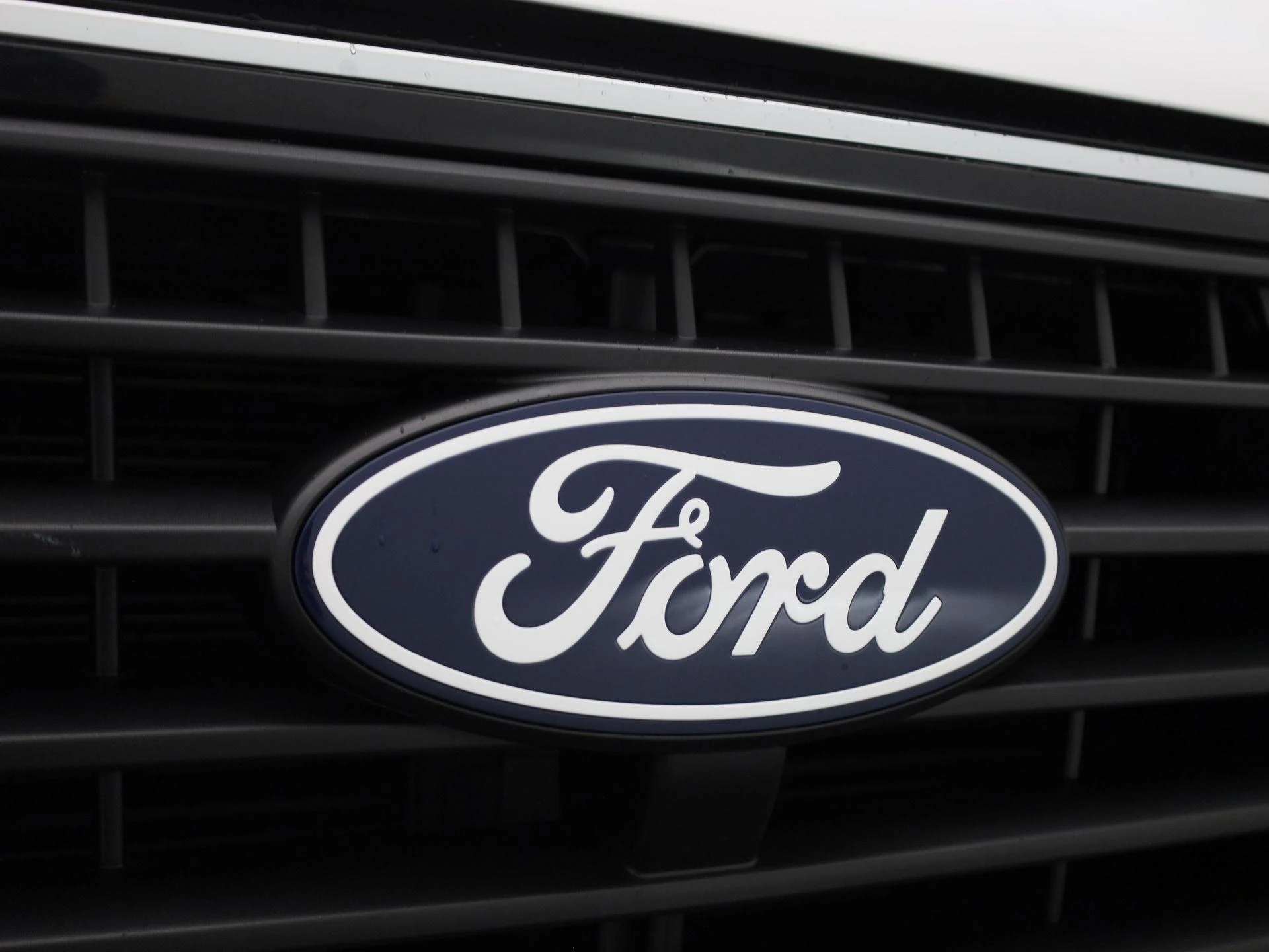 Ford-Transit Custom-image-31