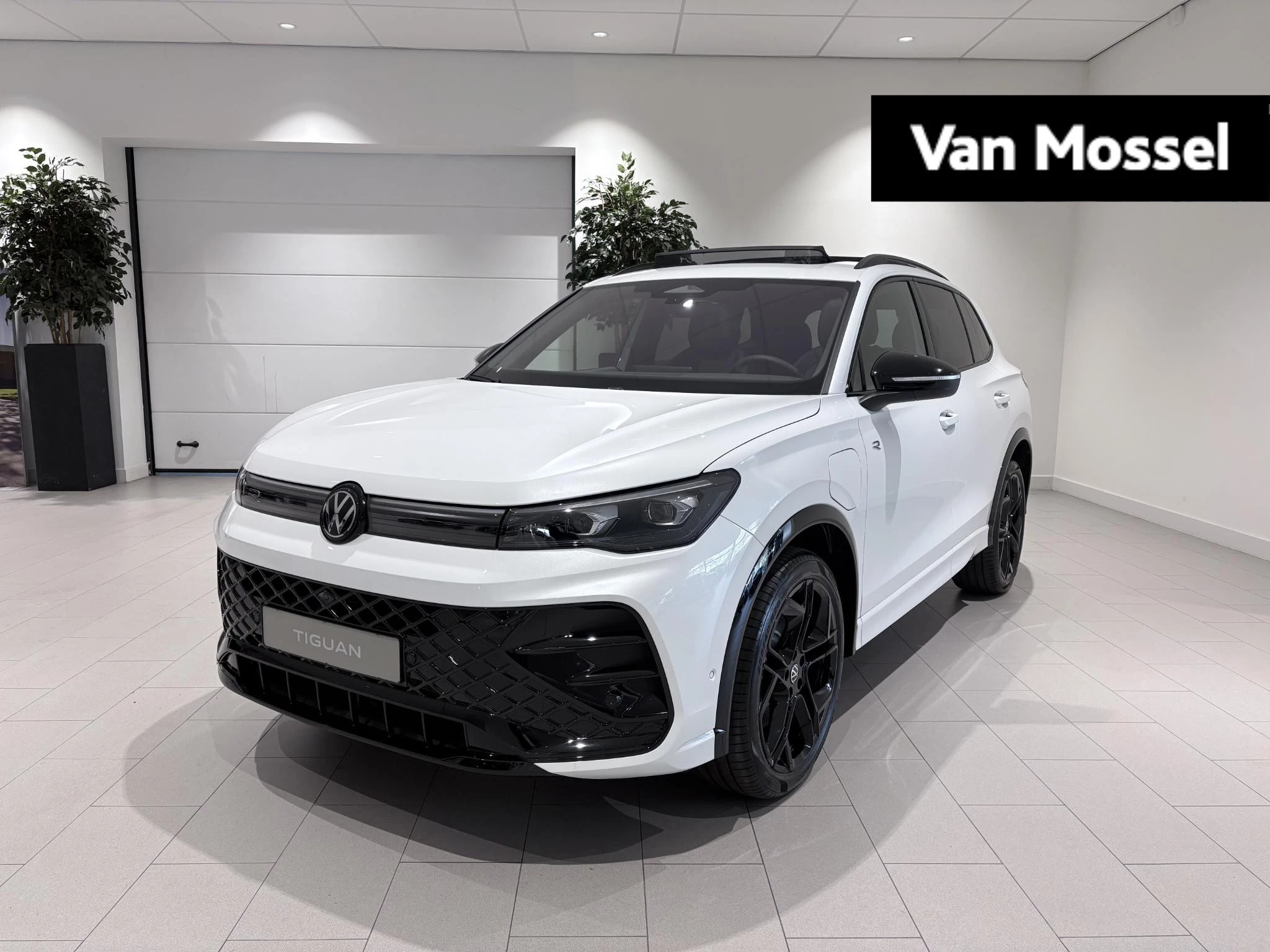 Volkswagen-Tiguan-image-0