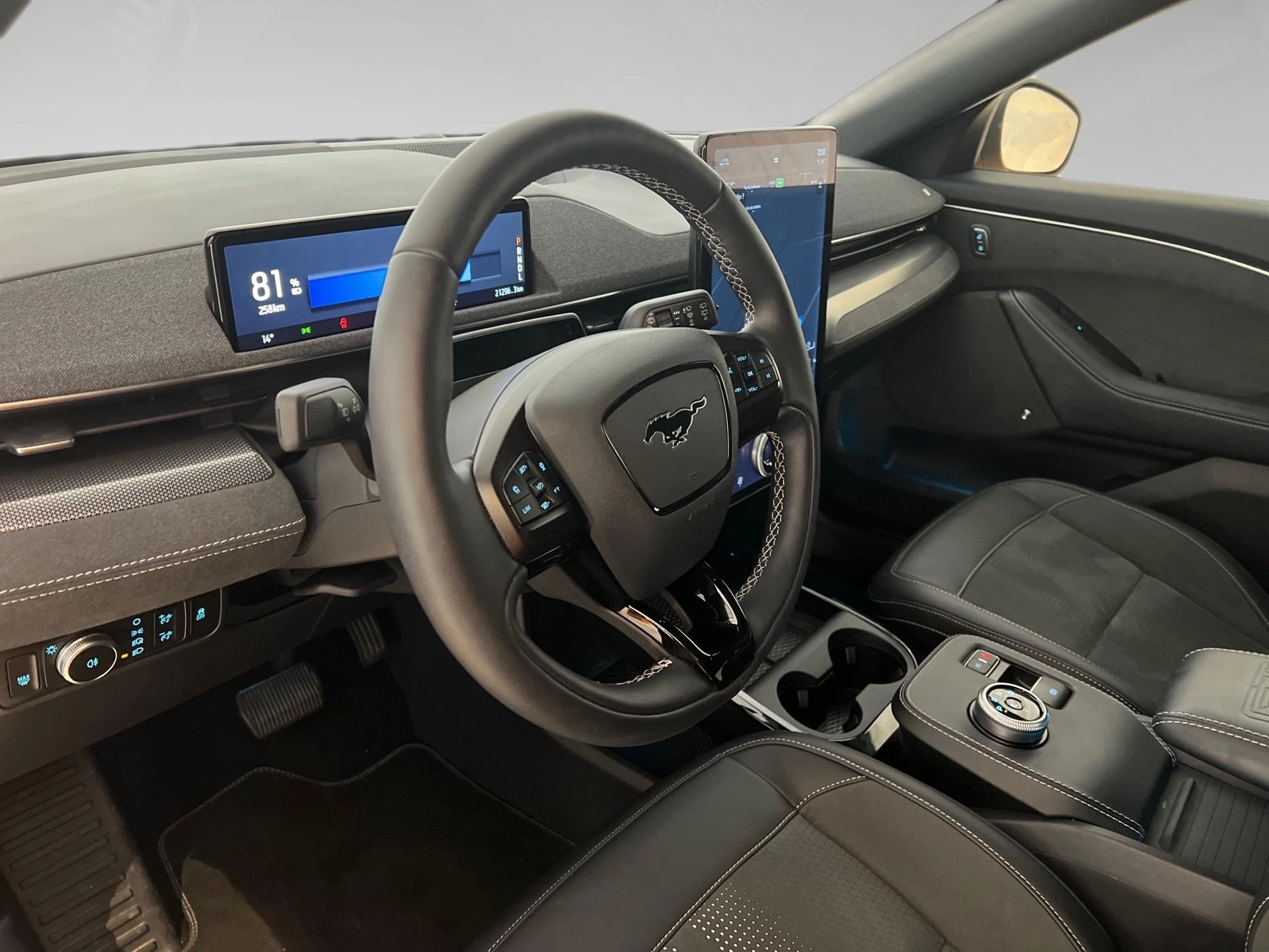 Ford-Mustang Mach-E-image-17