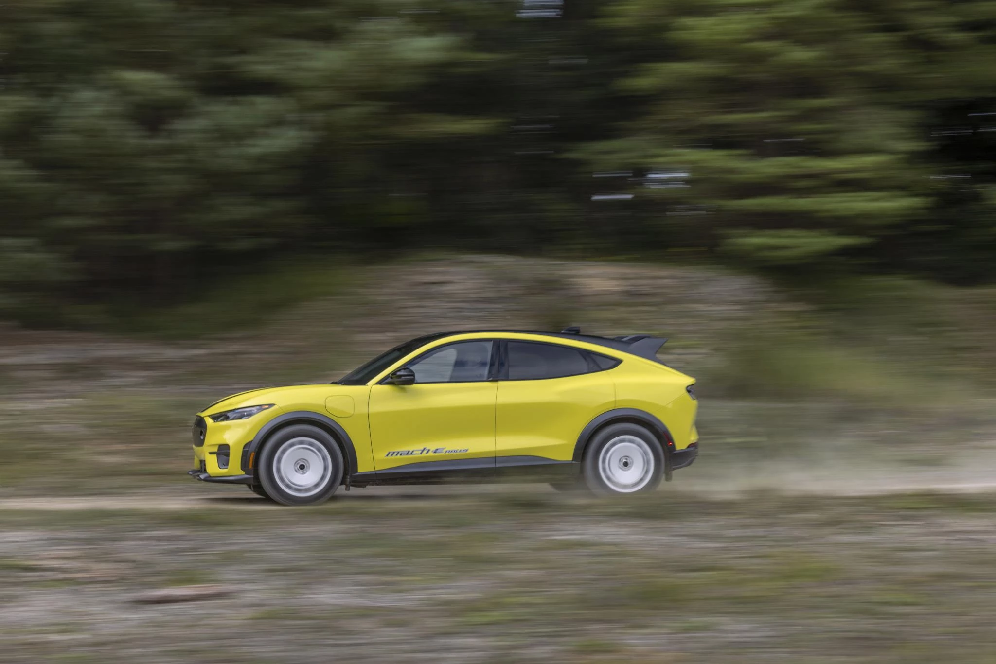 Ford-Mustang Mach-E-image-2