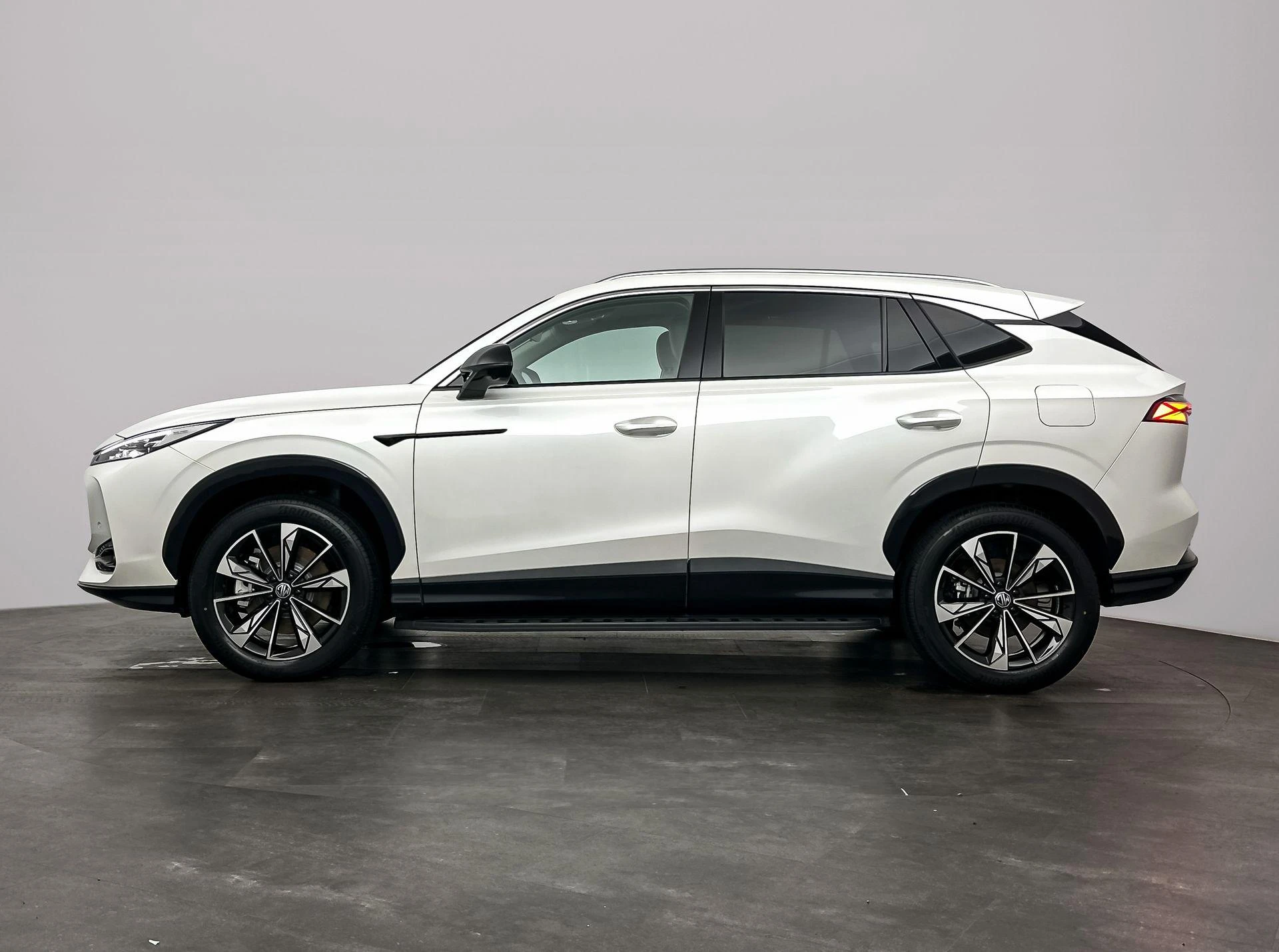 MG-HS-image-1