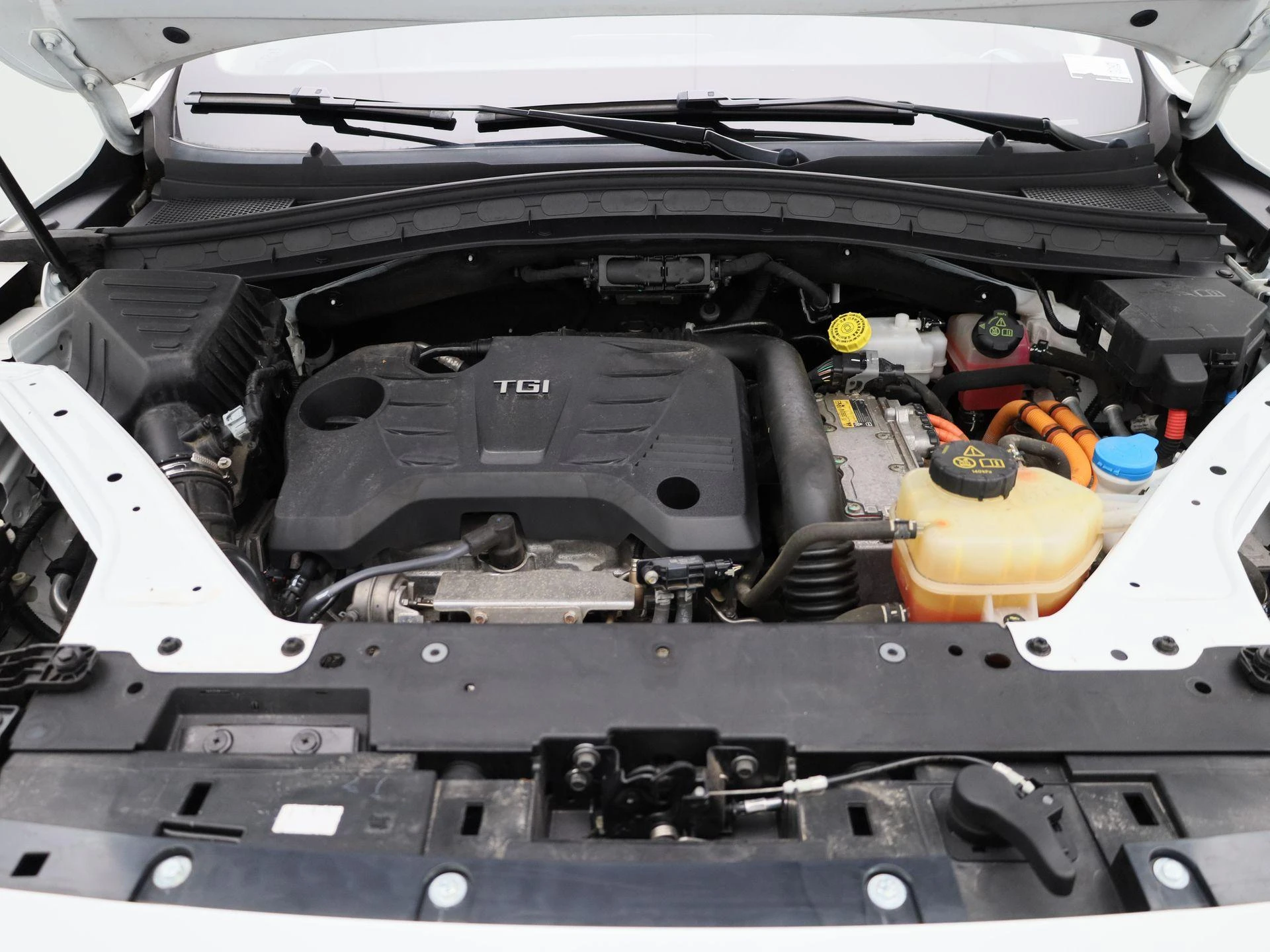 MG-EHS-image-32