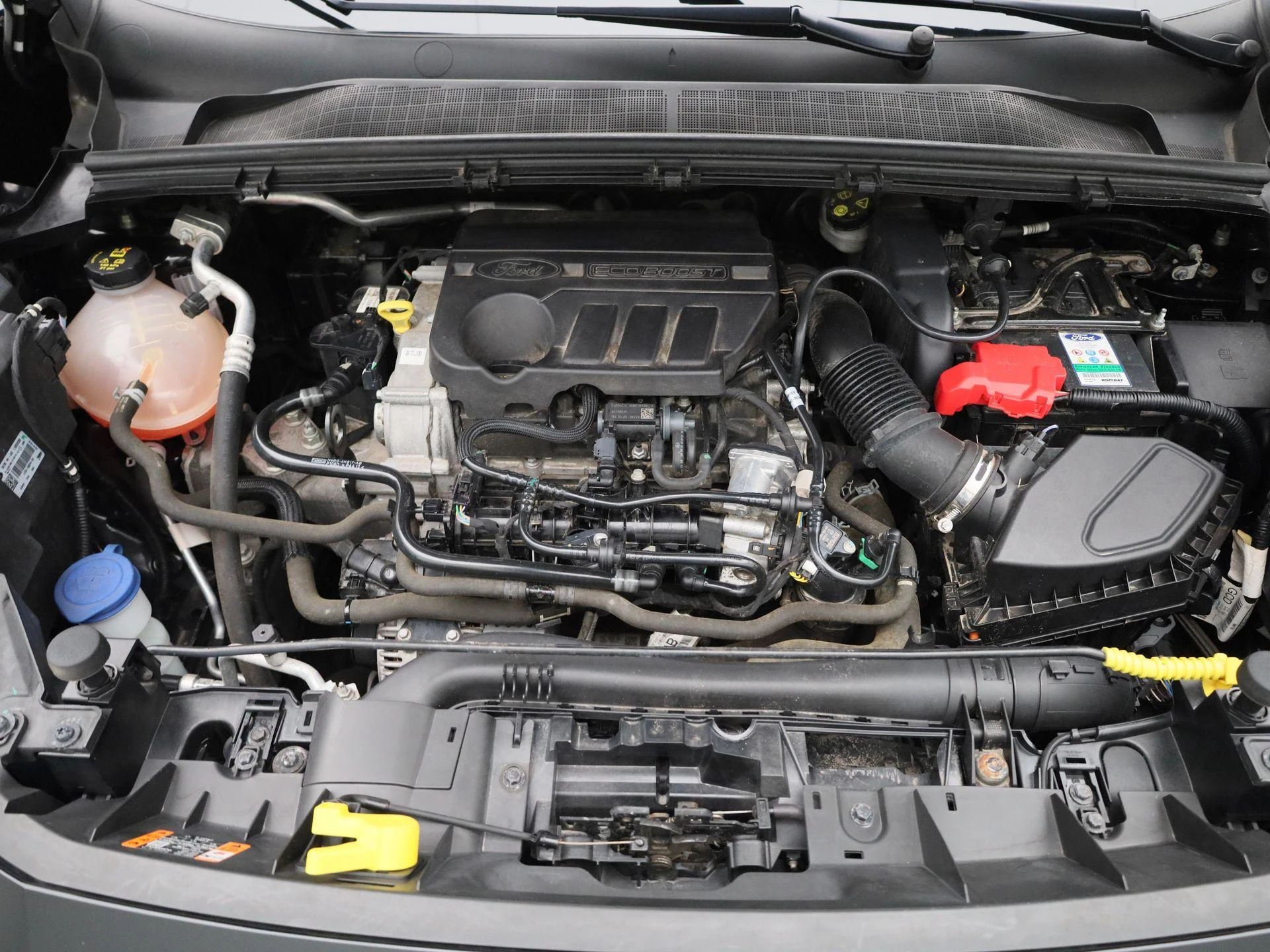 Ford-Puma-image-31