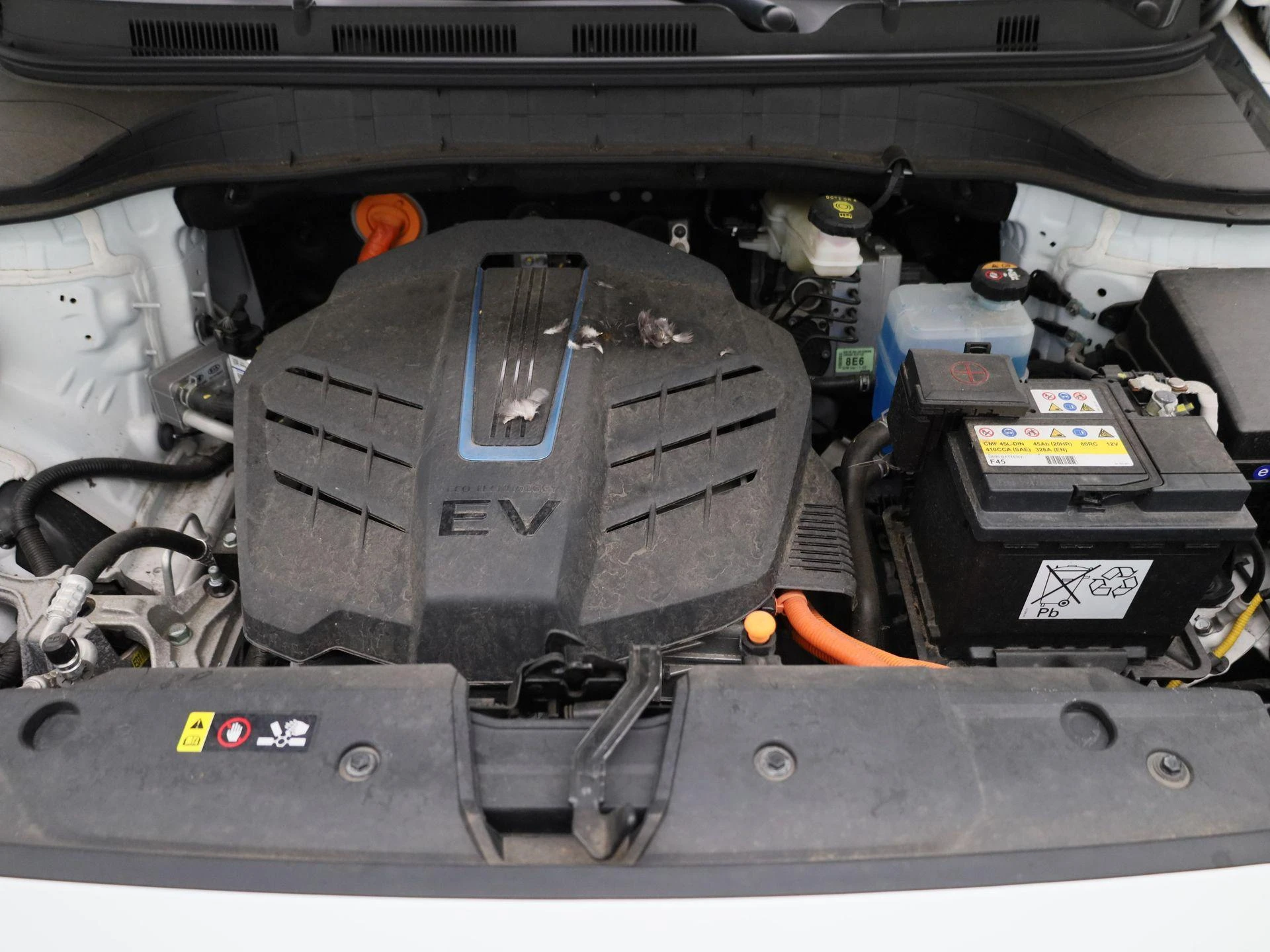 Hyundai-Kona-image-30