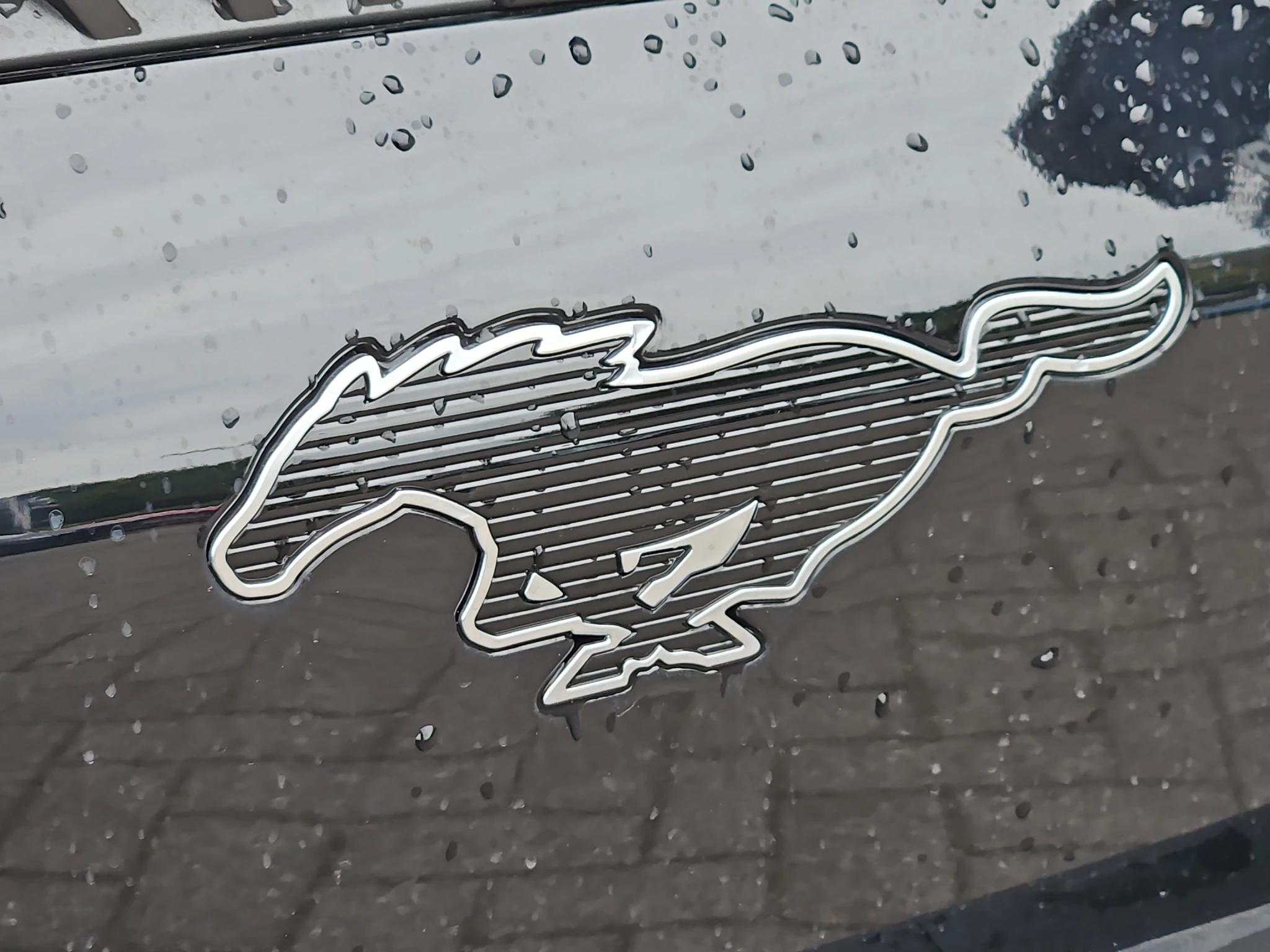 Ford-Mustang Mach-E-image-21