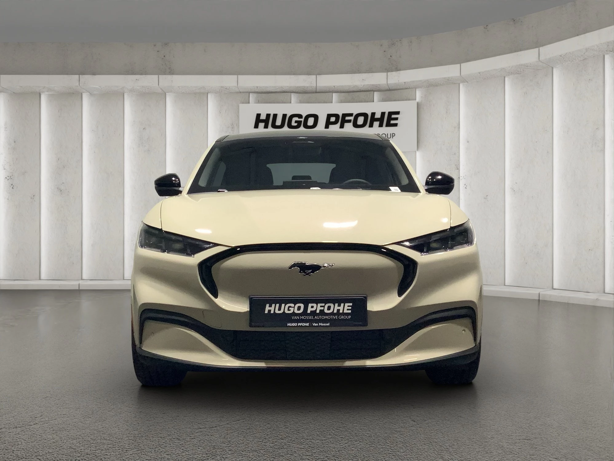 Ford-Mustang Mach-E-image-7