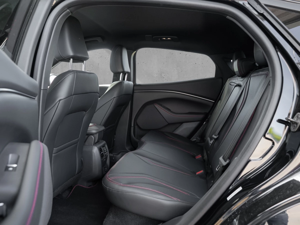 Ford-Mustang Mach-E-image-6