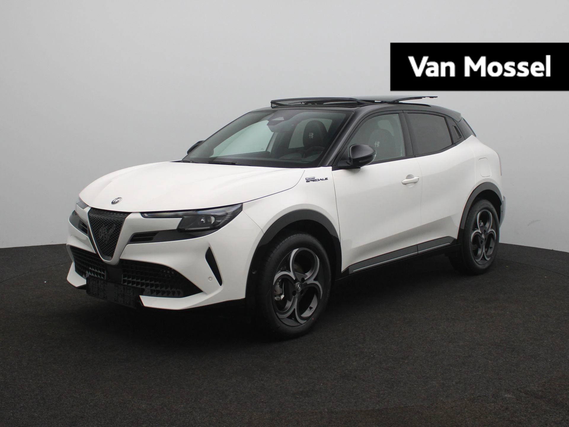 Alfa Romeo-Junior-image-0