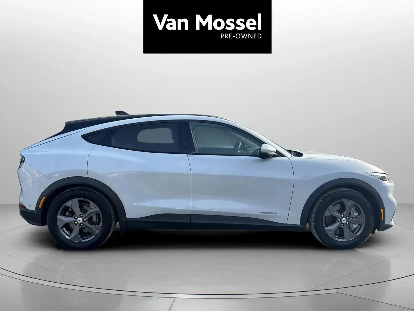 Ford-Mustang Mach-E-image-3