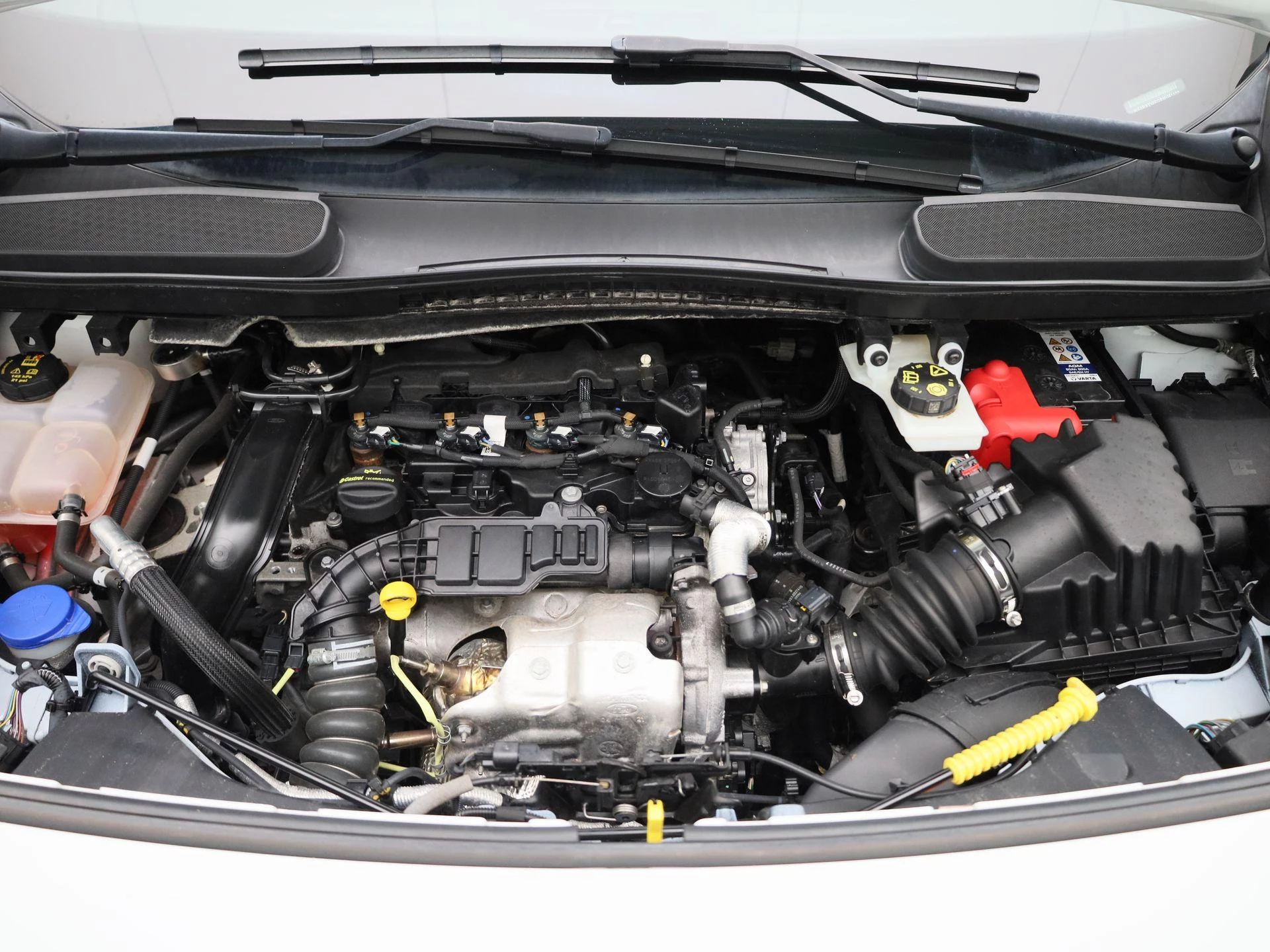 Ford-Transit Connect-image-33
