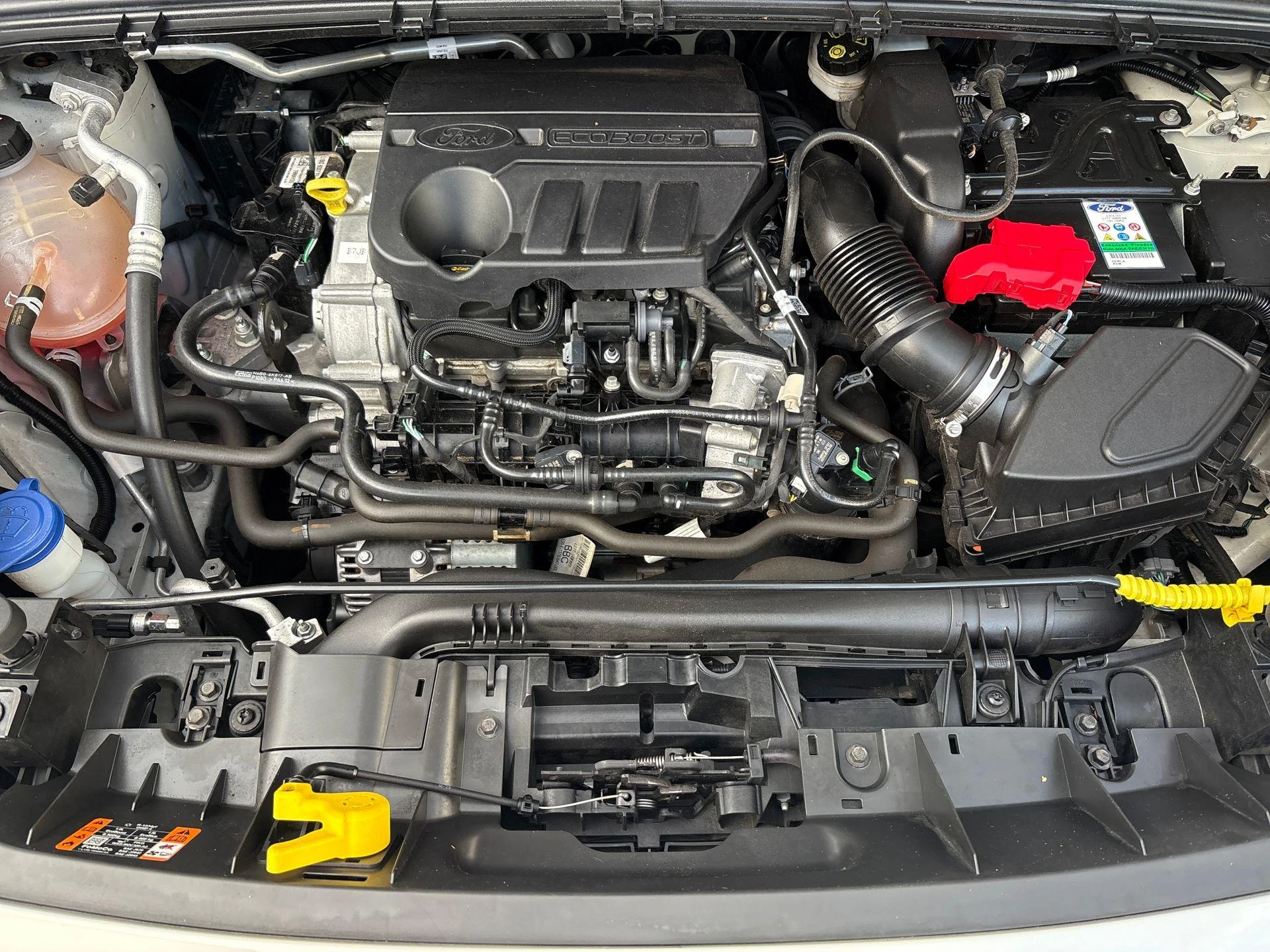 Ford-Puma-image-23