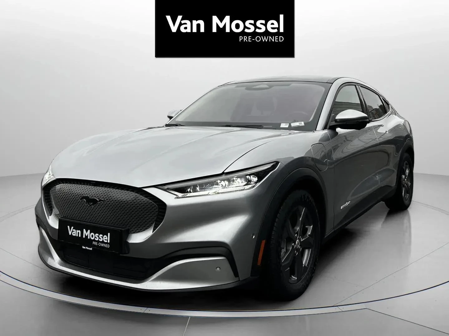 Ford-Mustang Mach-E-image-0