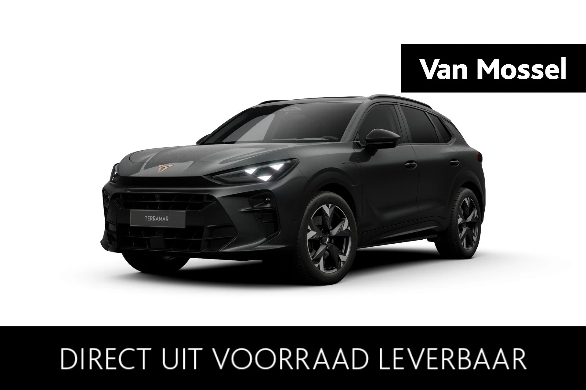 CUPRA-Terramar-image-0