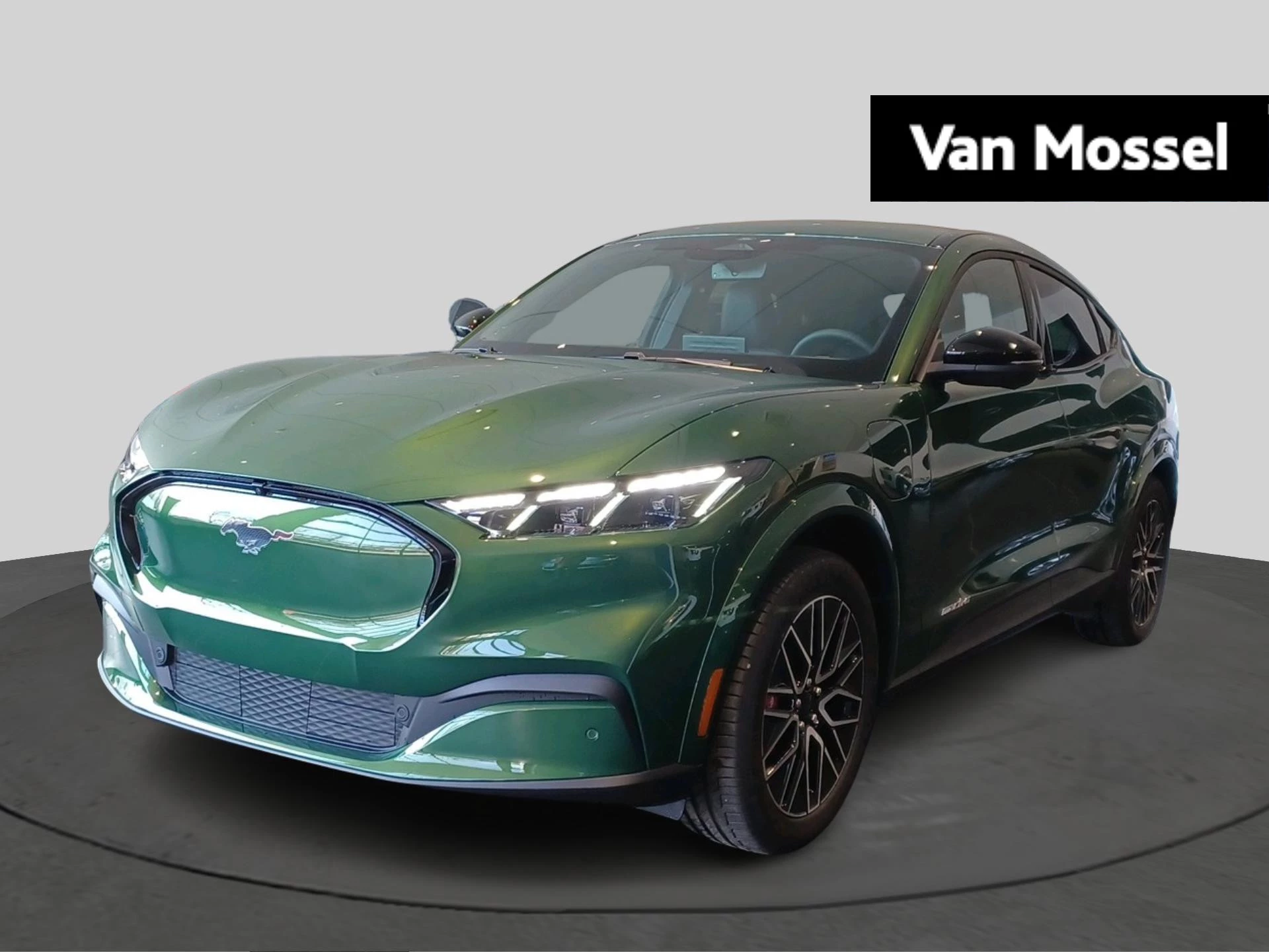 Ford-Mustang Mach-E-image-0