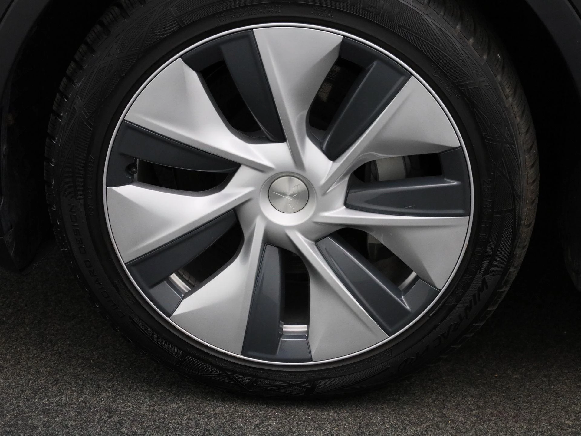 Tesla Model Y RWD