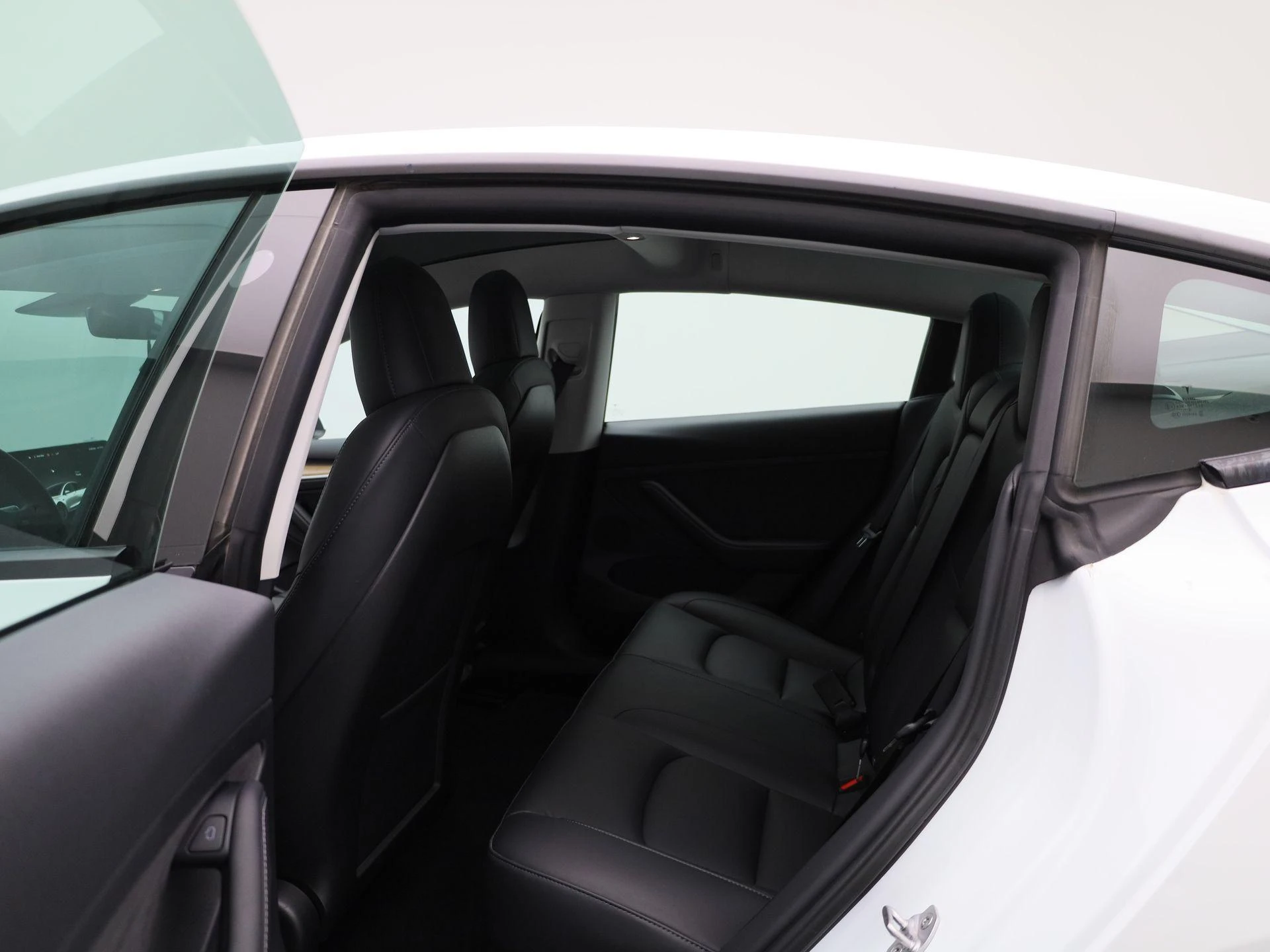 Tesla-Model 3-image-9