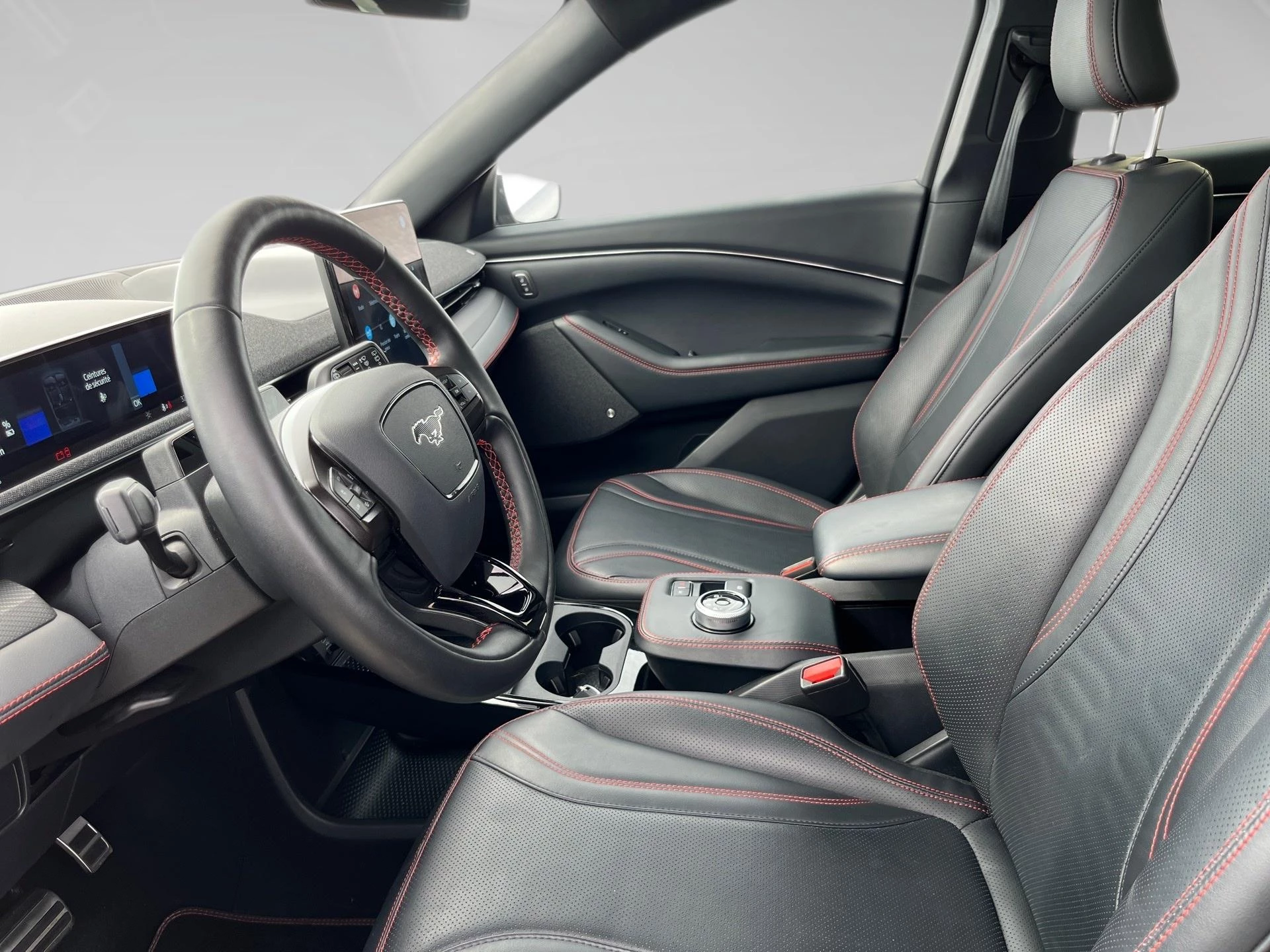 Ford-Mustang Mach-E-image-5