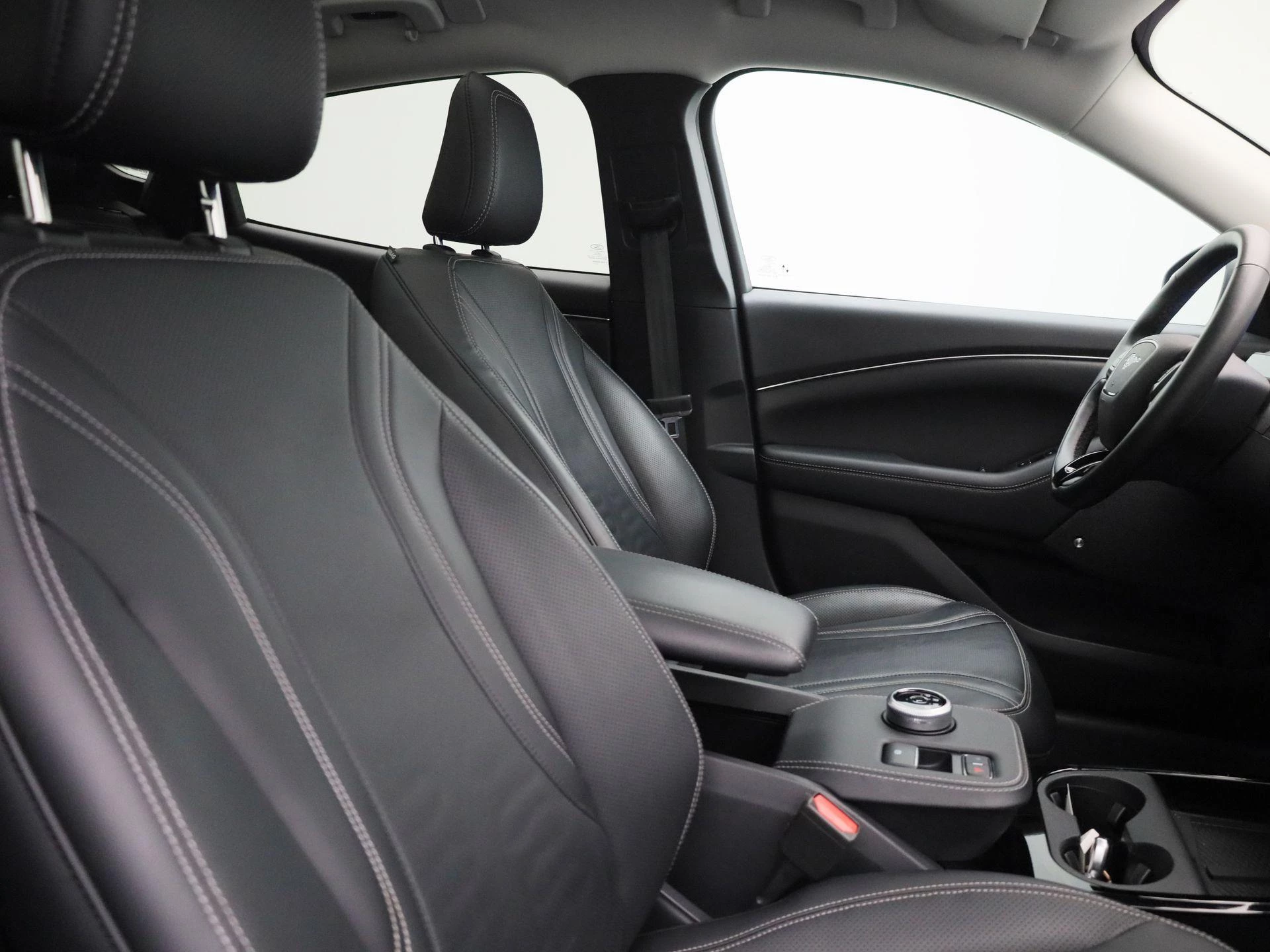 Ford-Mustang Mach-E-image-33