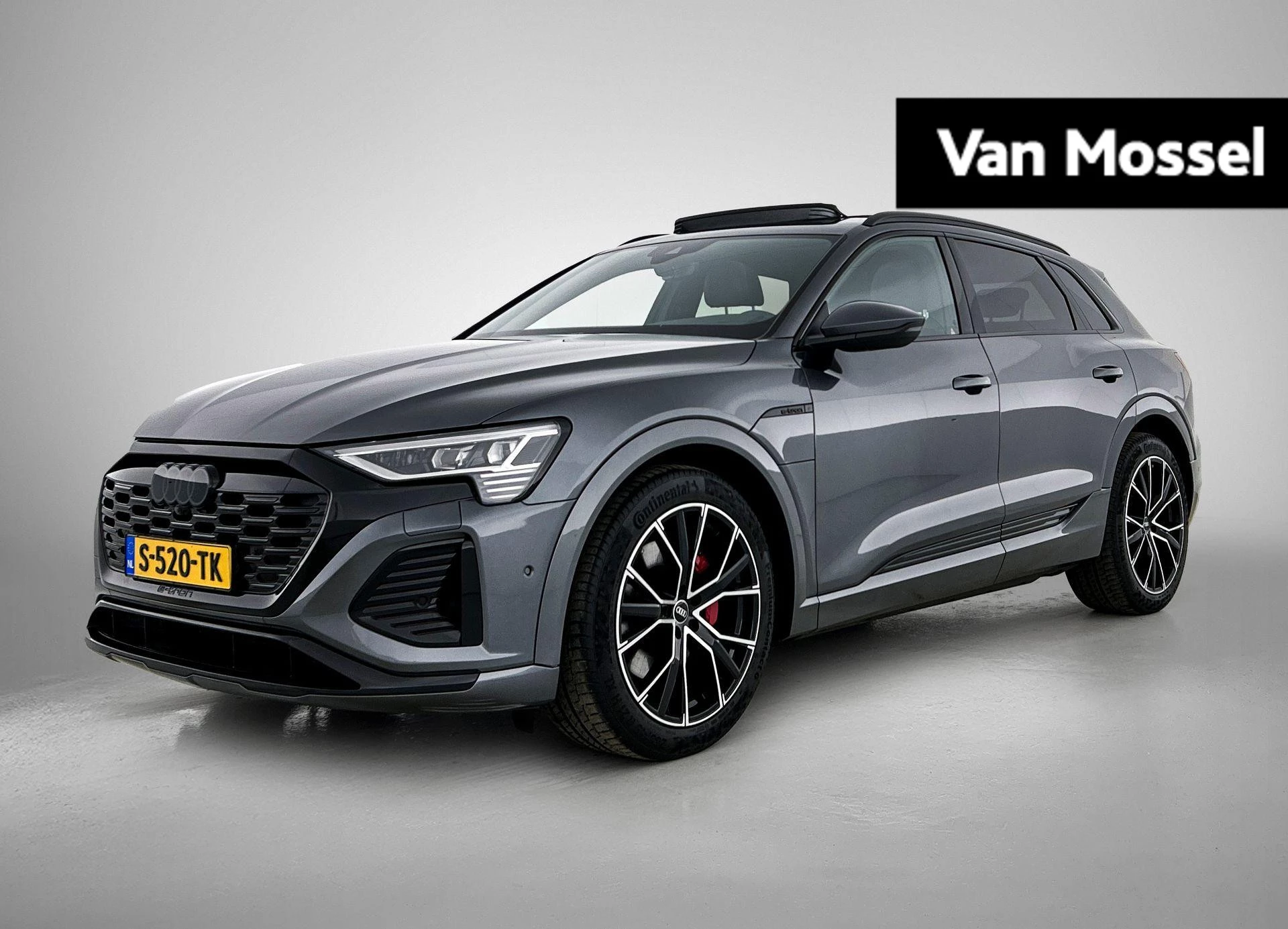 Audi-Q8 e-tron-image-0